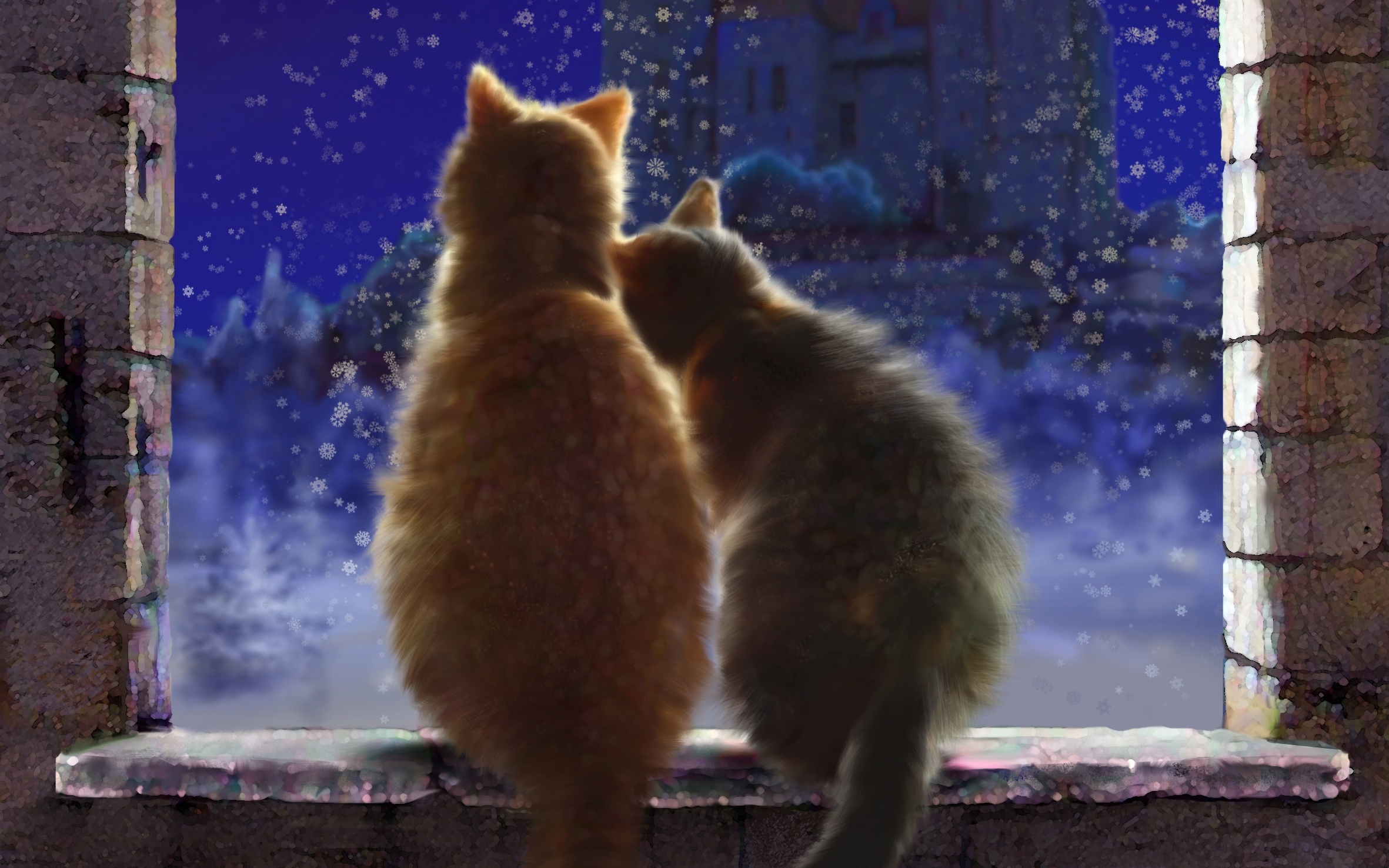 Cat Couples Wallpapers