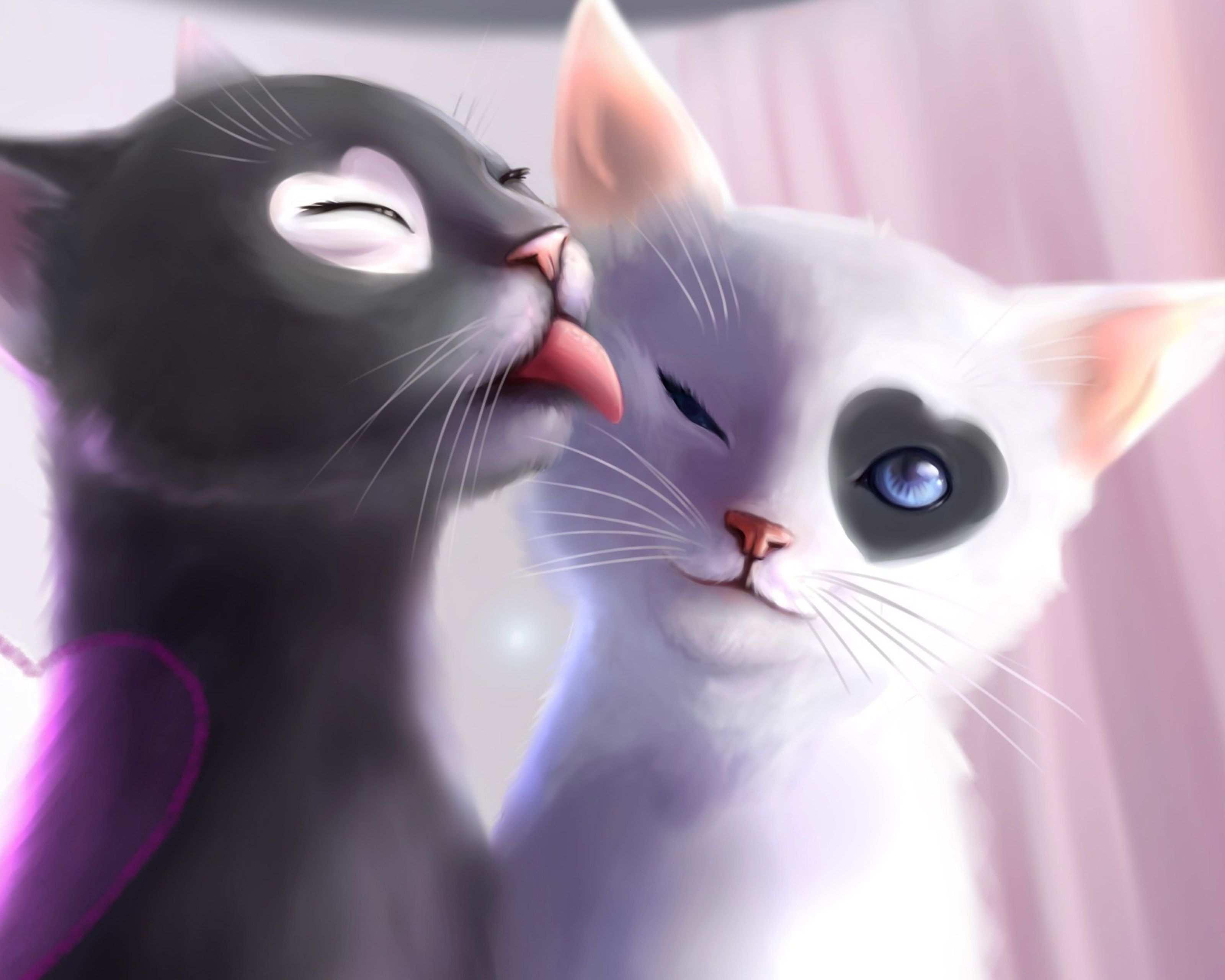 Cat Couples Wallpapers