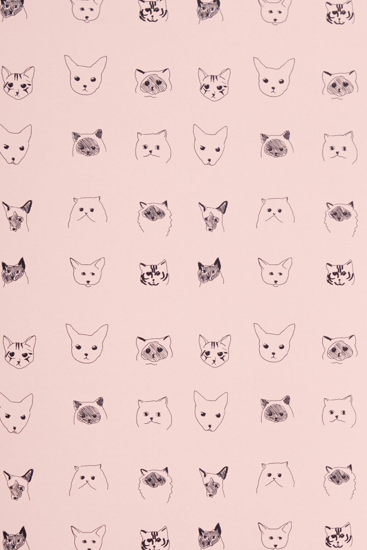 Cat Design Wallpapers