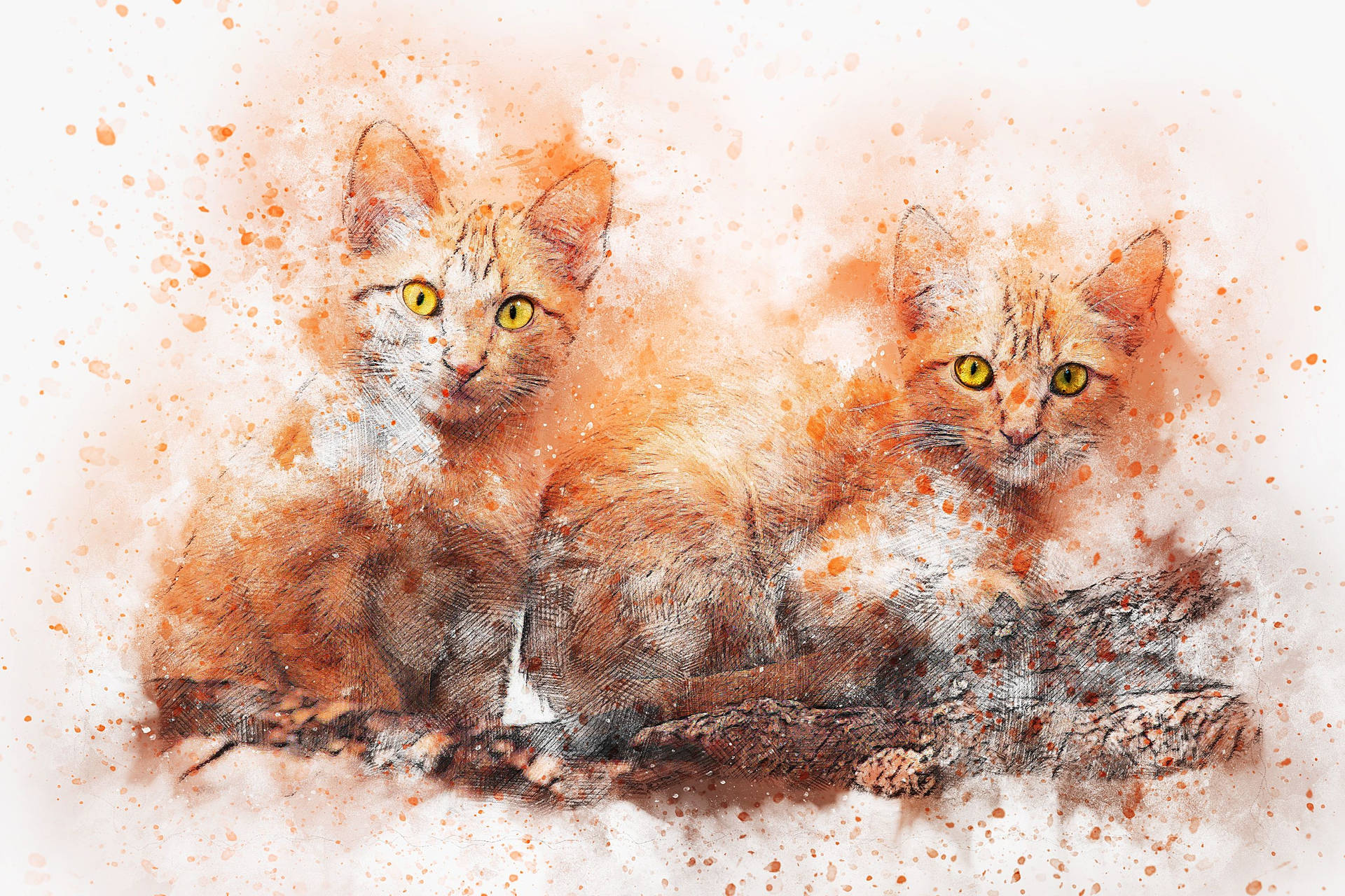 Cat Drawings Wallpapers