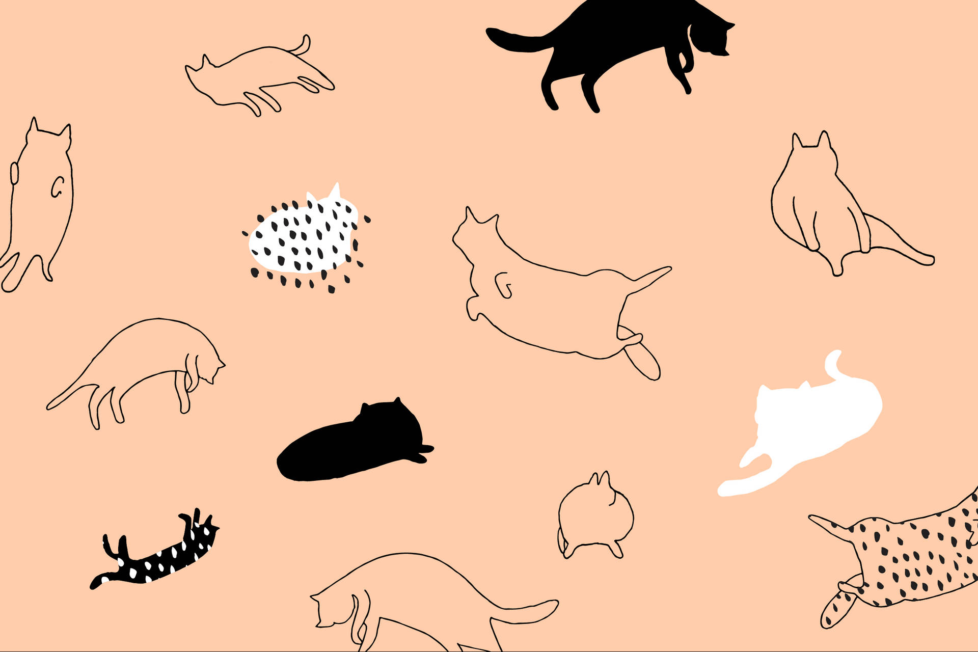 Cat Drawings Wallpapers