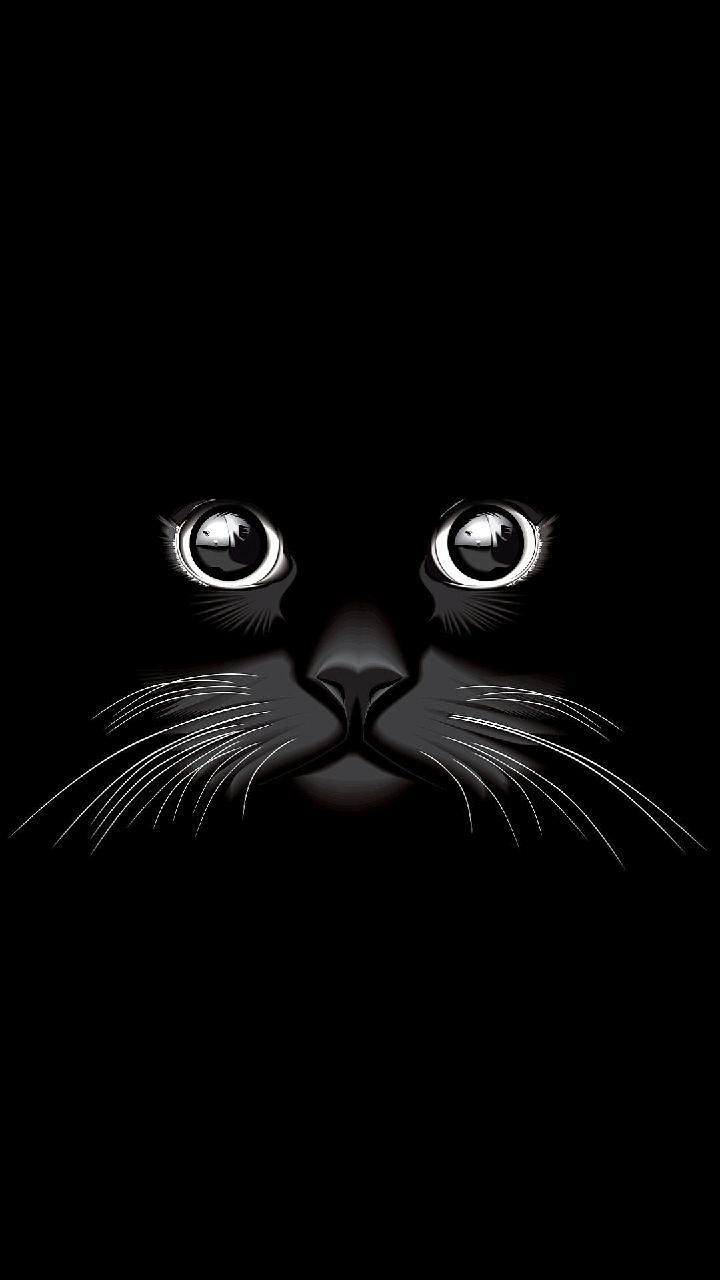 Cat Eyes Wallpapers