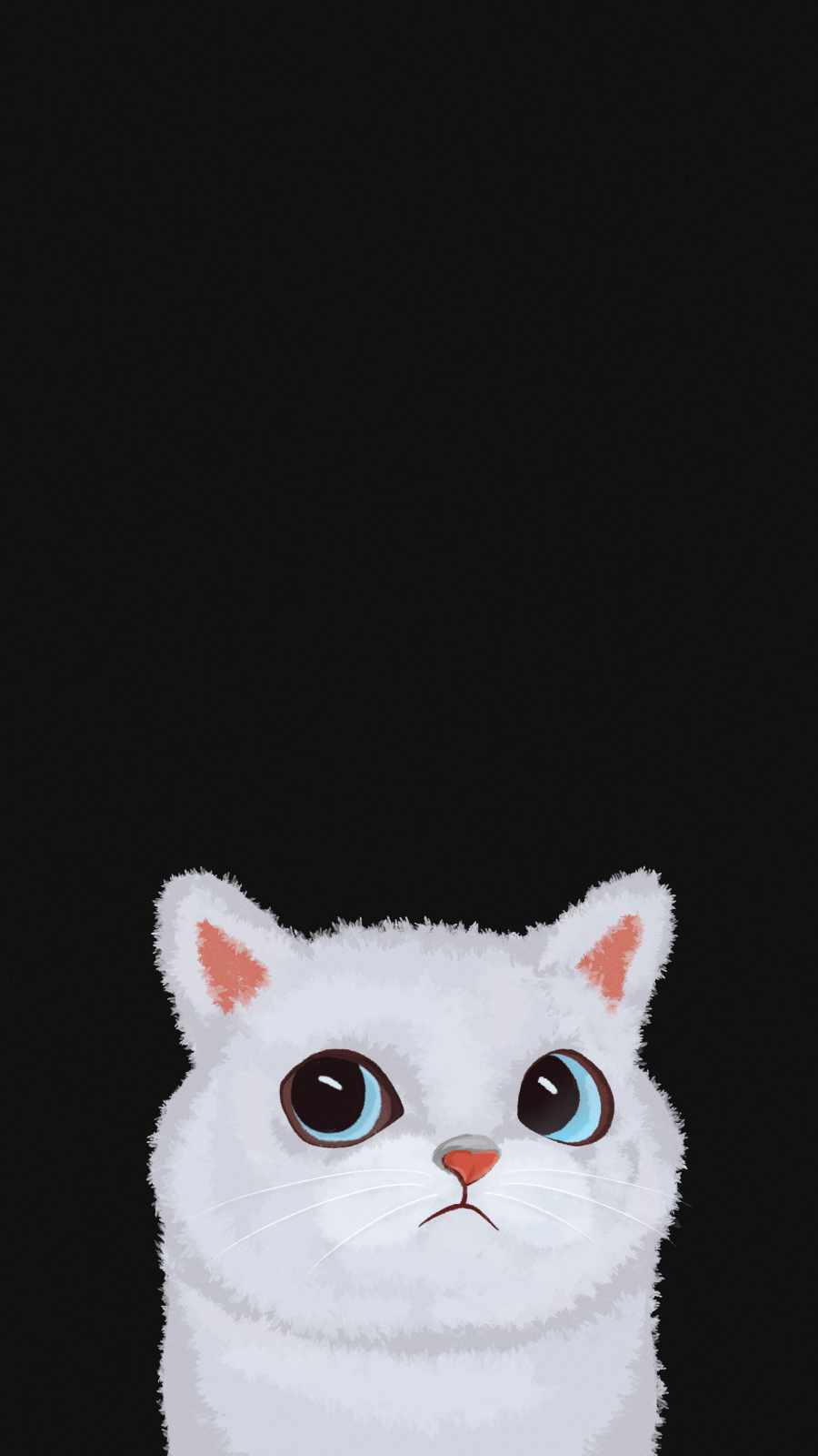 Cat Face Iphone Wallpapers