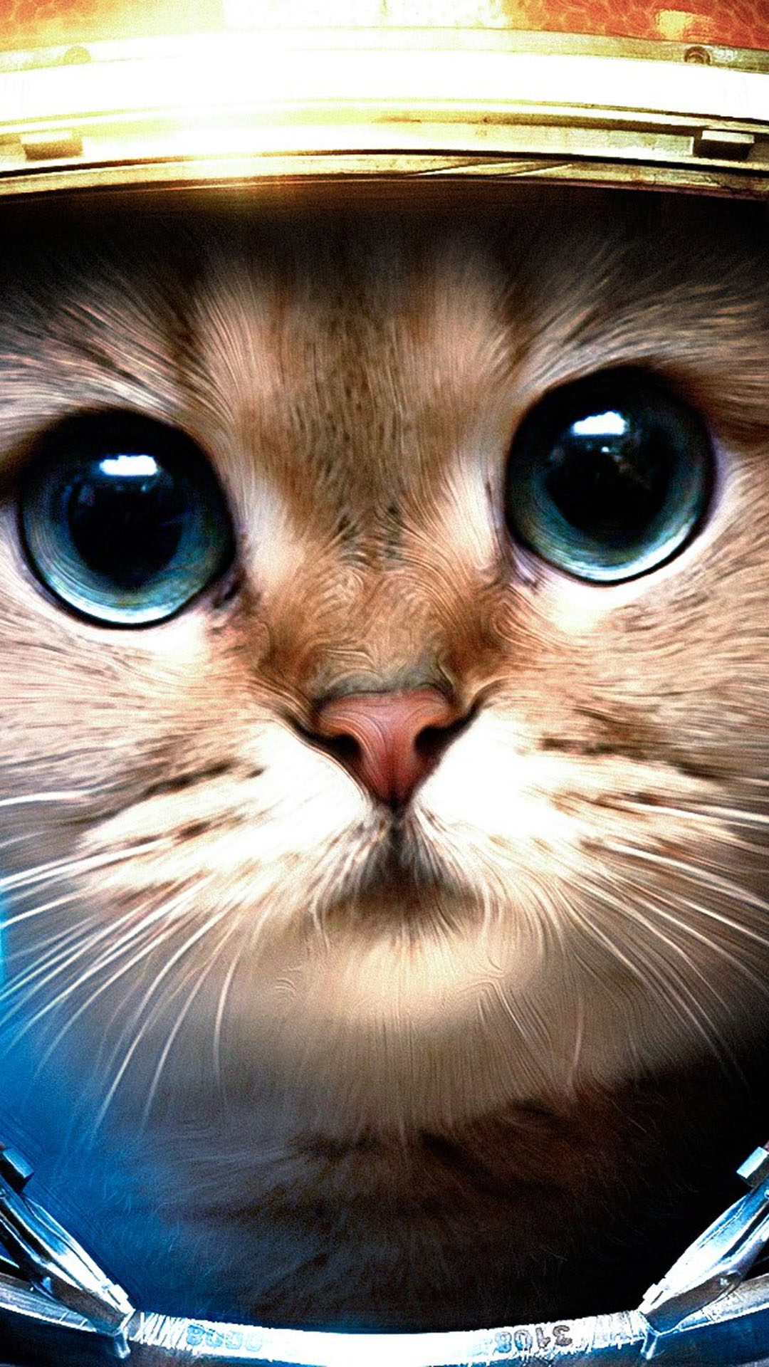 Cat Face Iphone Wallpapers