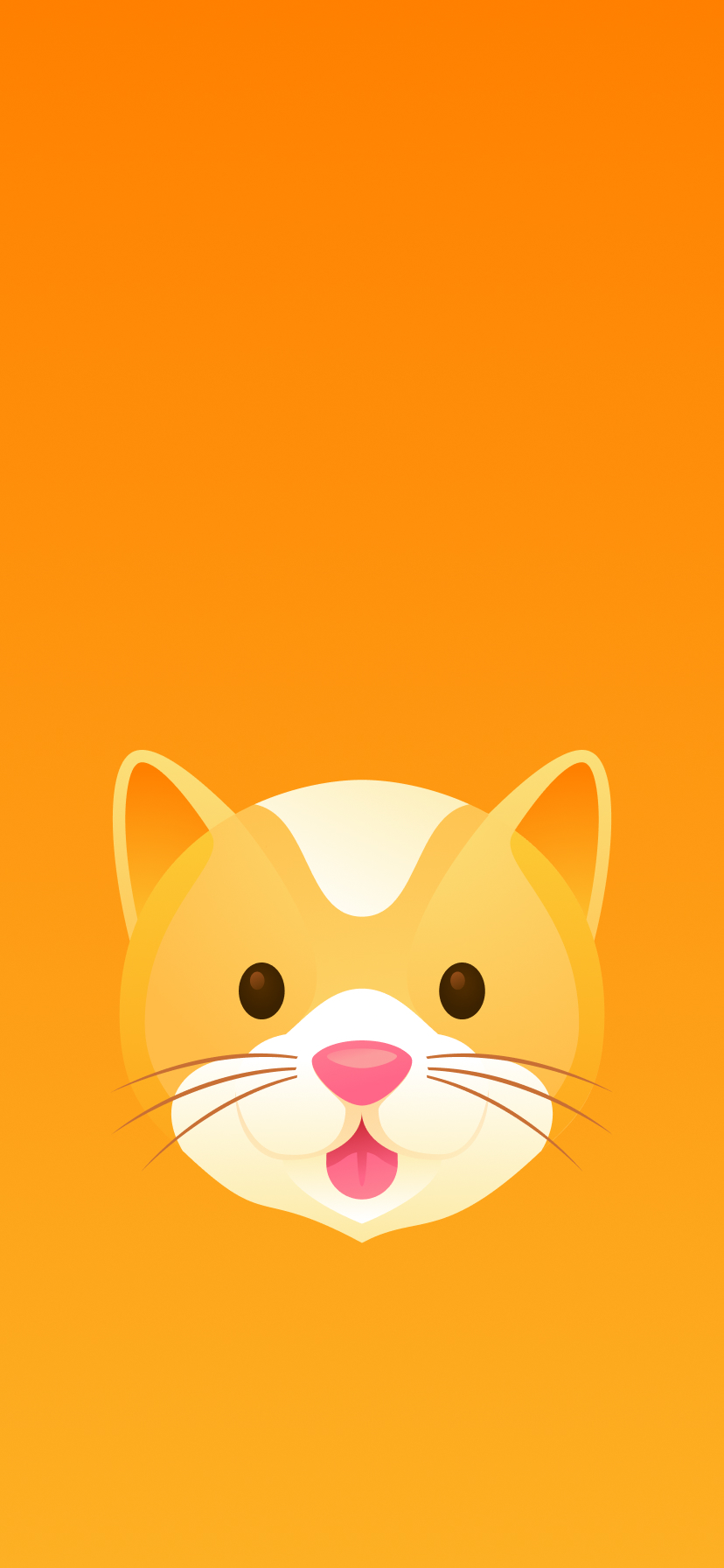 Cat Face Iphone Wallpapers