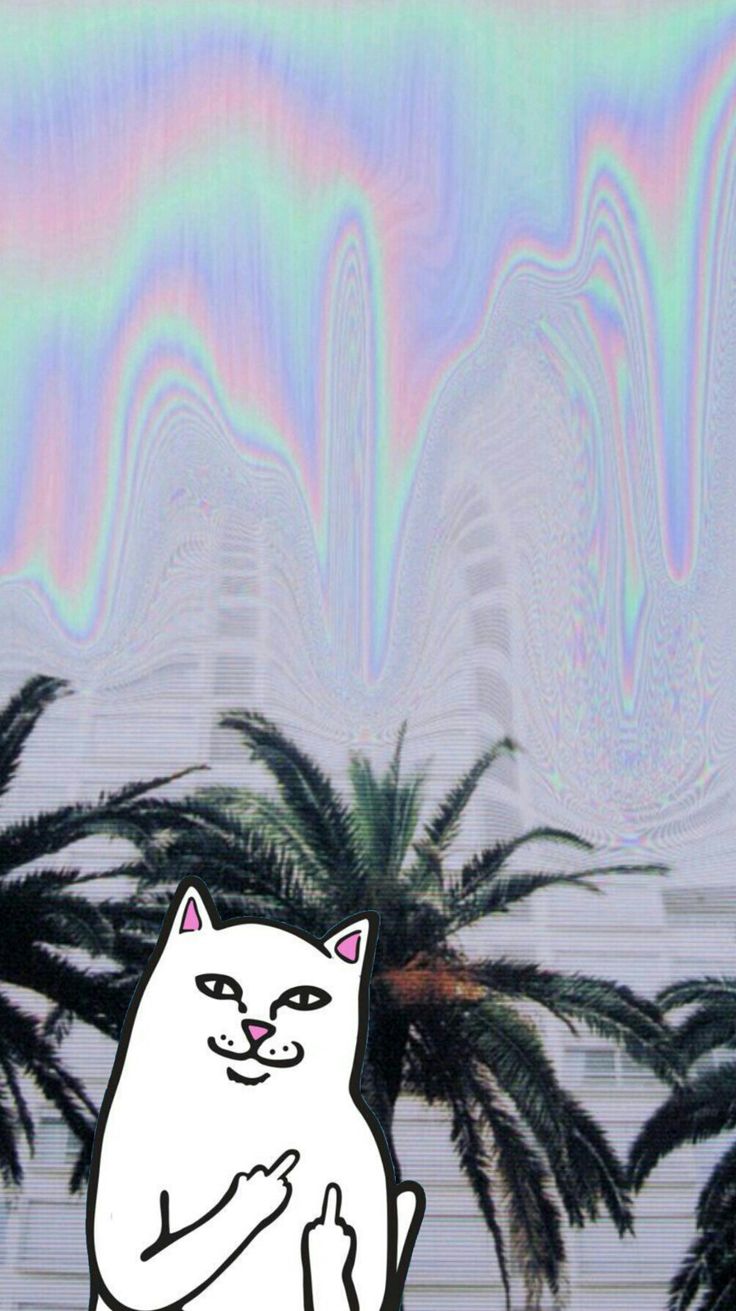 Cat Flipping Off Wallpapers