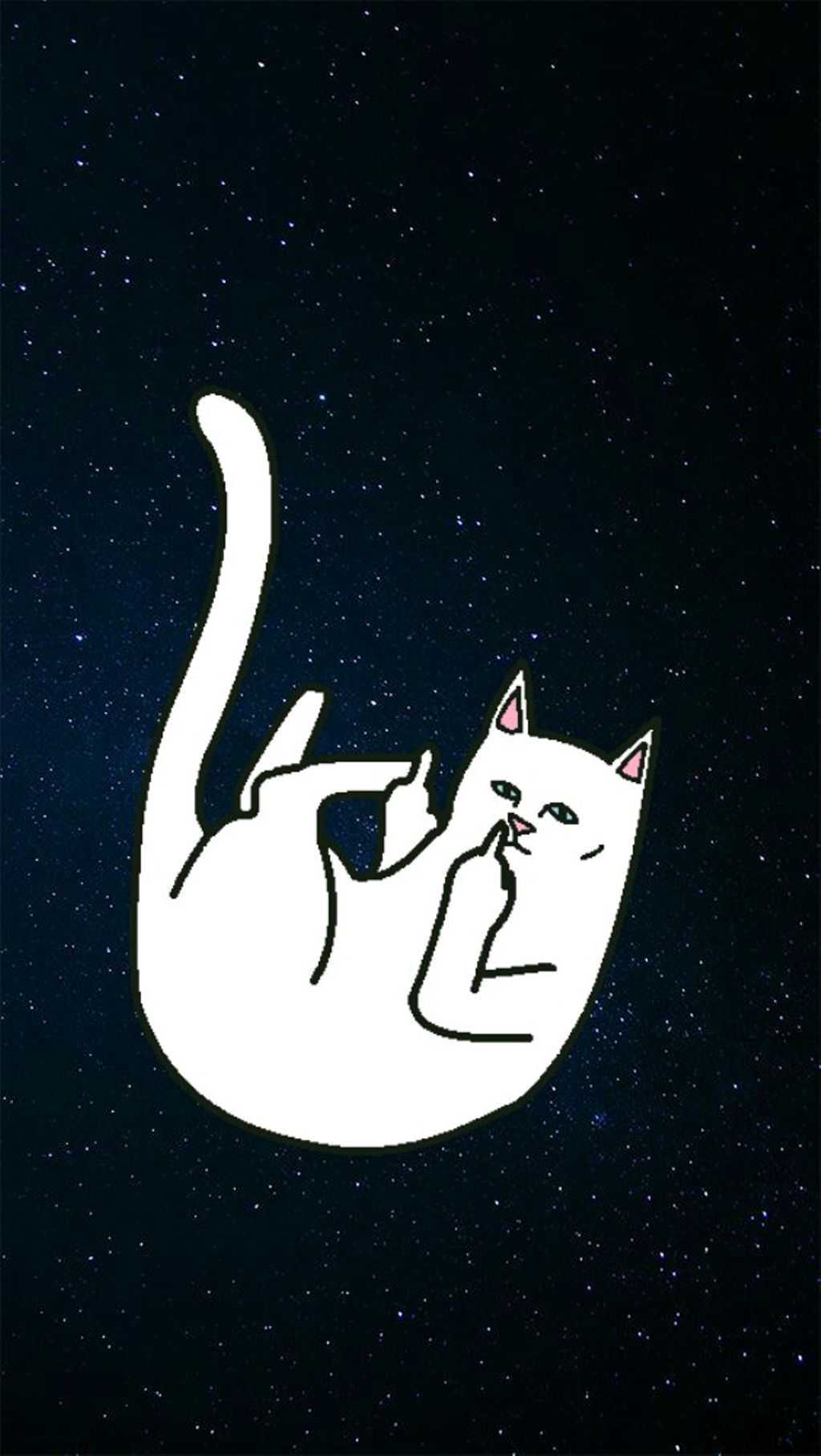 Cat Flipping Off Wallpapers