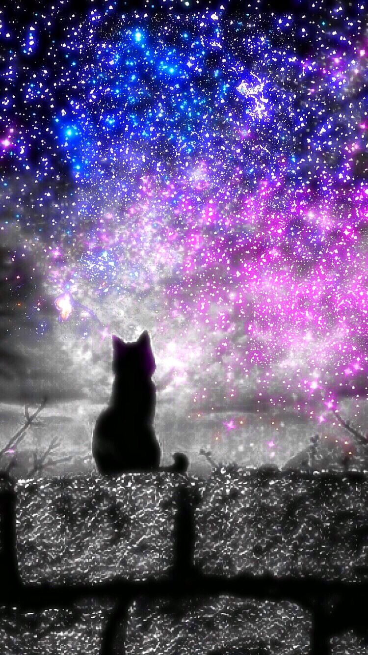 Cat Galaxy Wallpapers