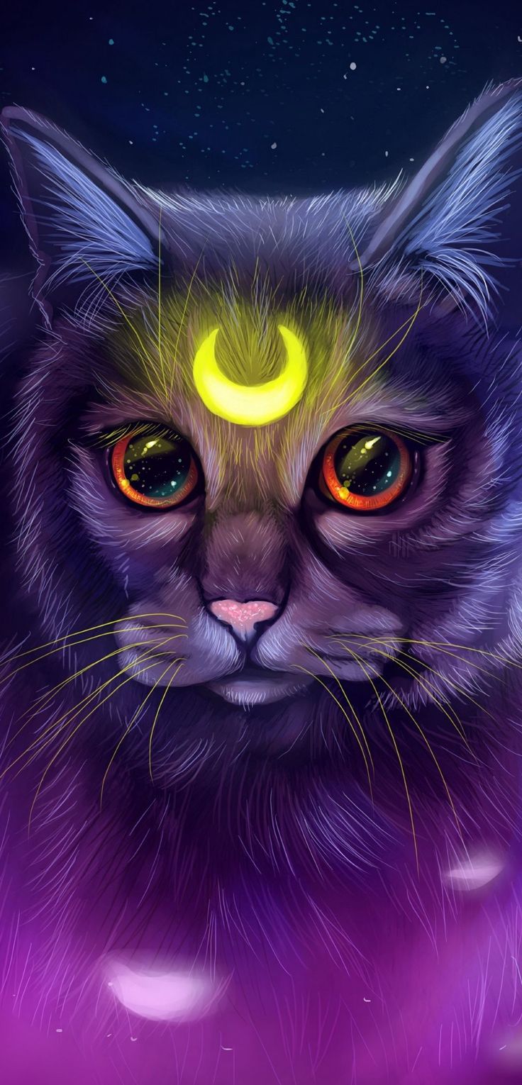 Cat Galaxy Wallpapers