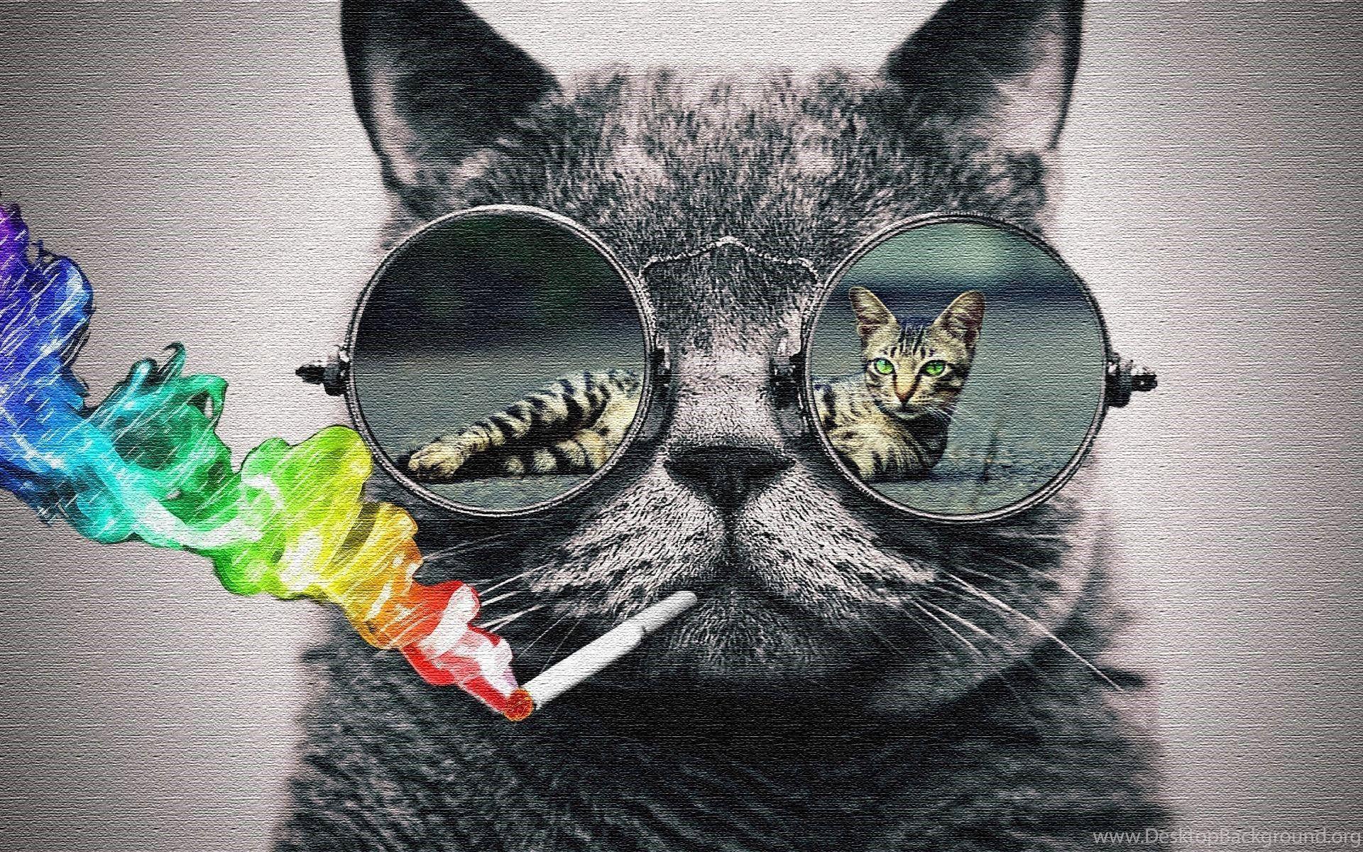 Cat Glasses Wallpapers