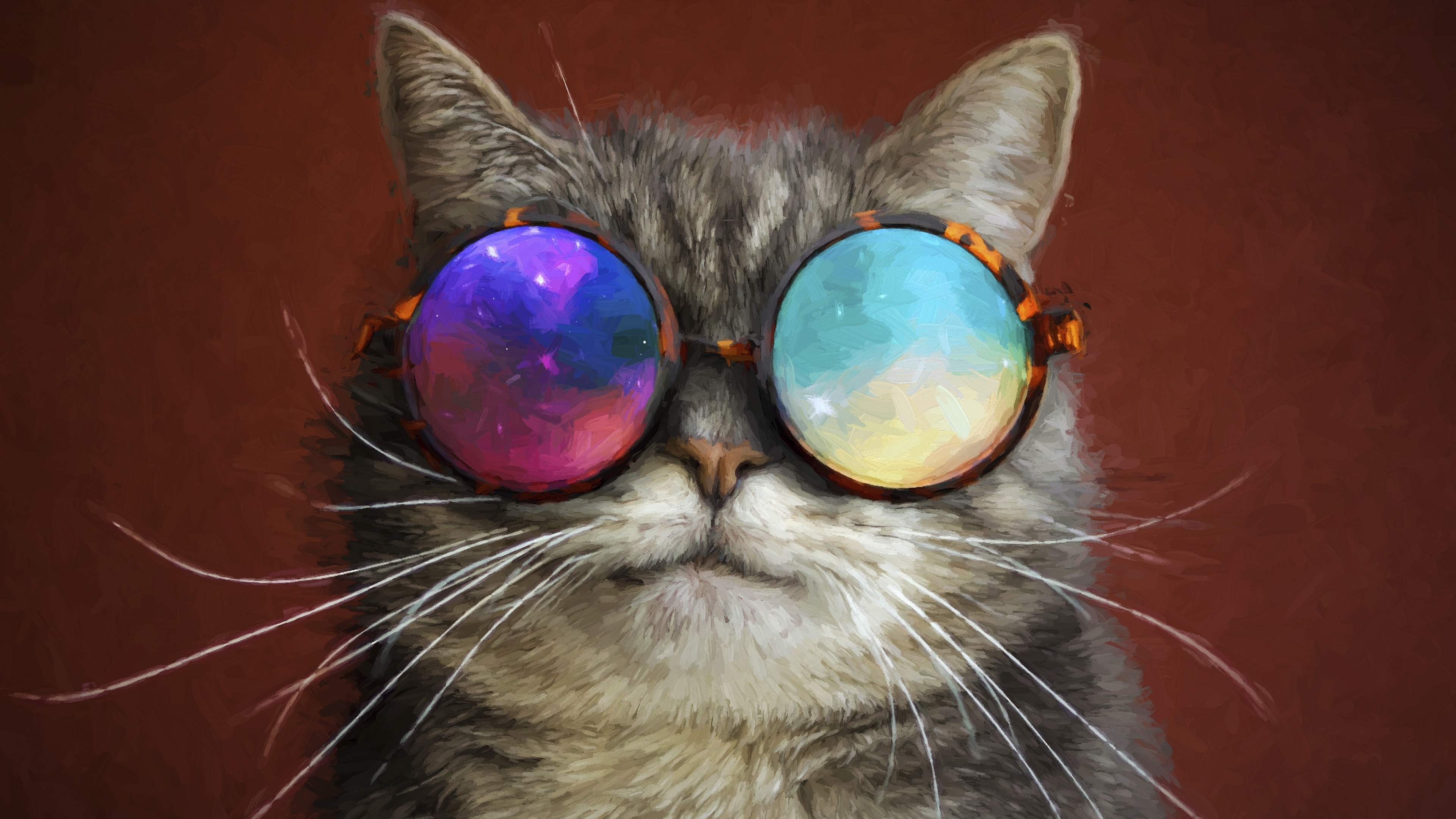 Cat Glasses Wallpapers