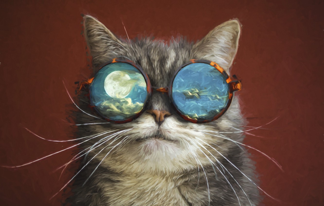 Cat Glasses Wallpapers