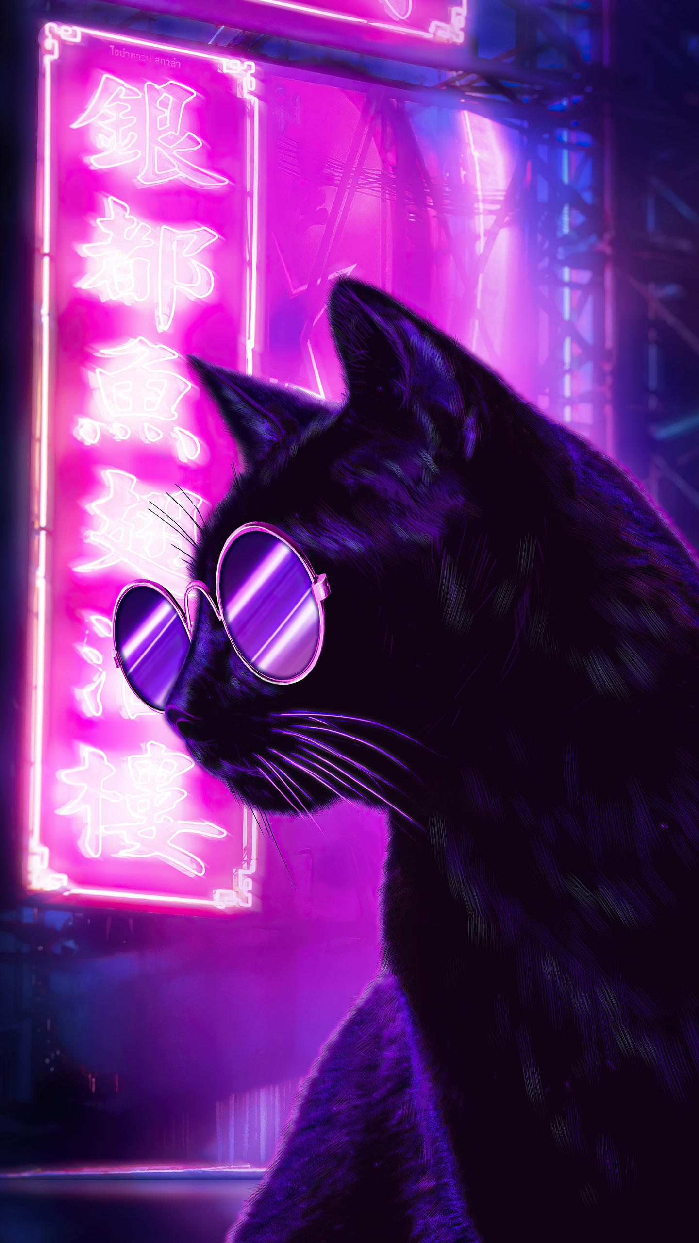 Cat Glasses Wallpapers