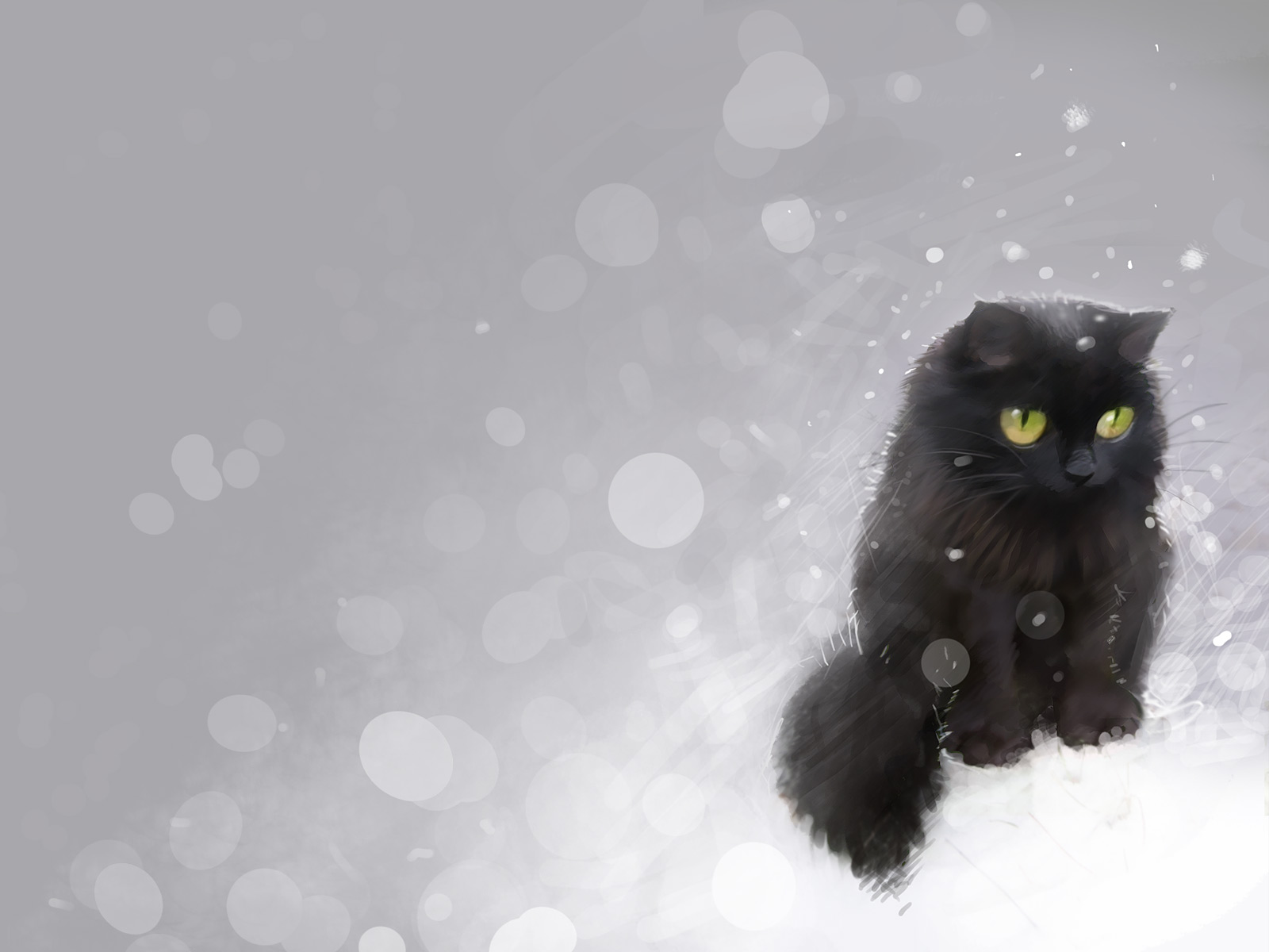 Cat In Snow Desktop Wallpapers