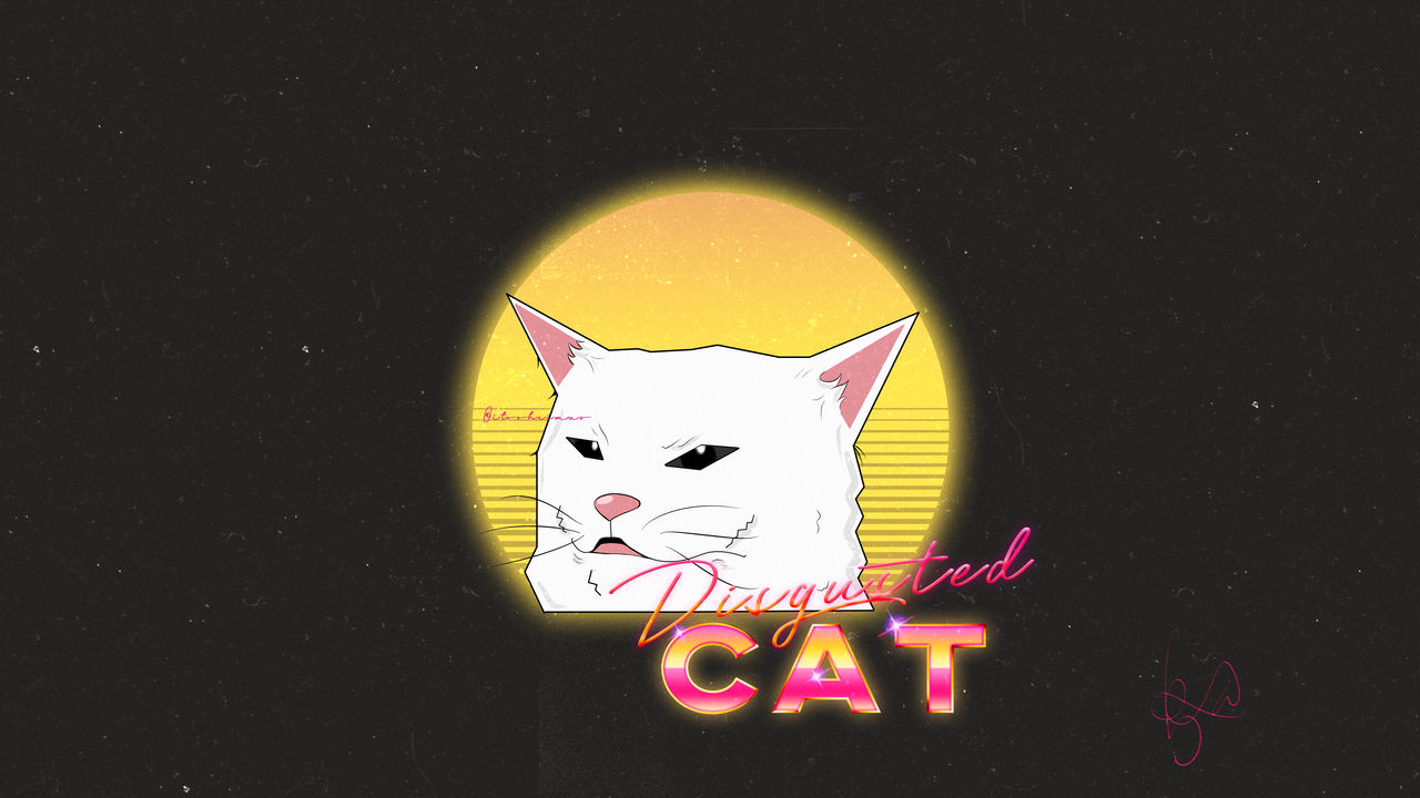 Cat Meme Picture Wallpapers