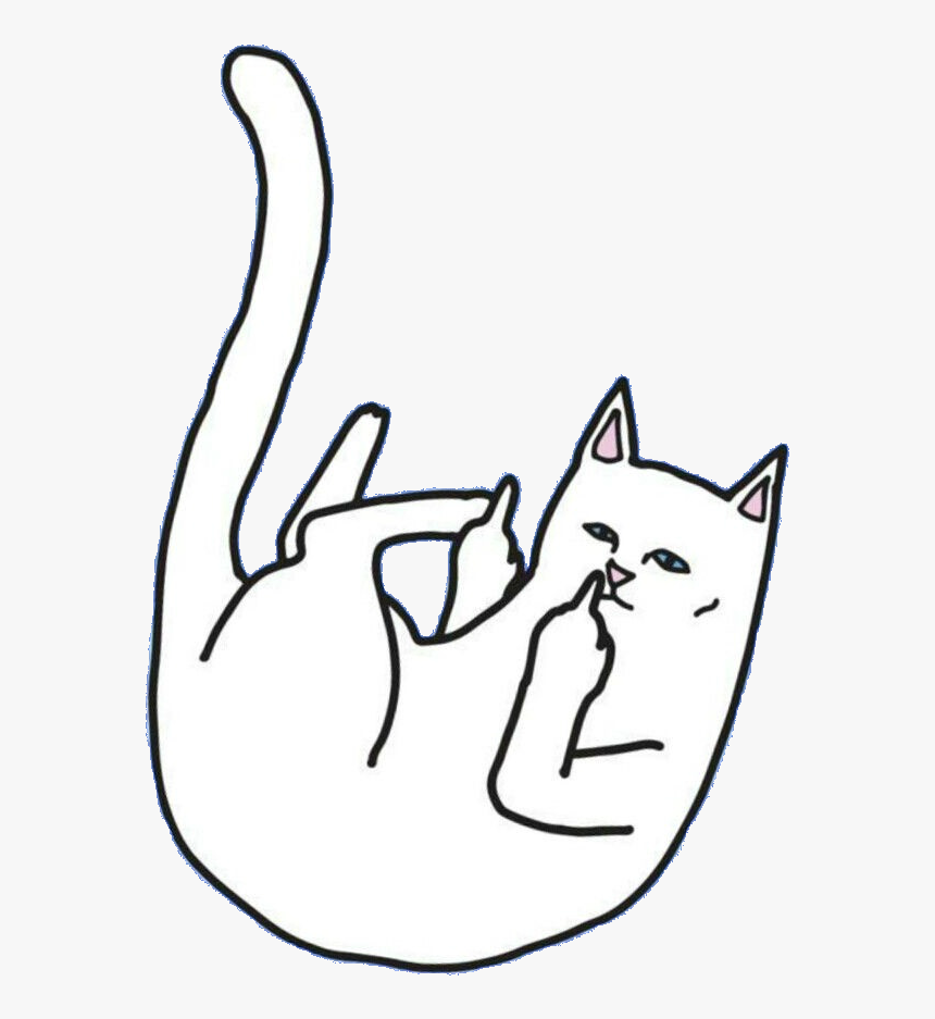 Cat Middle #Finger Wallpapers