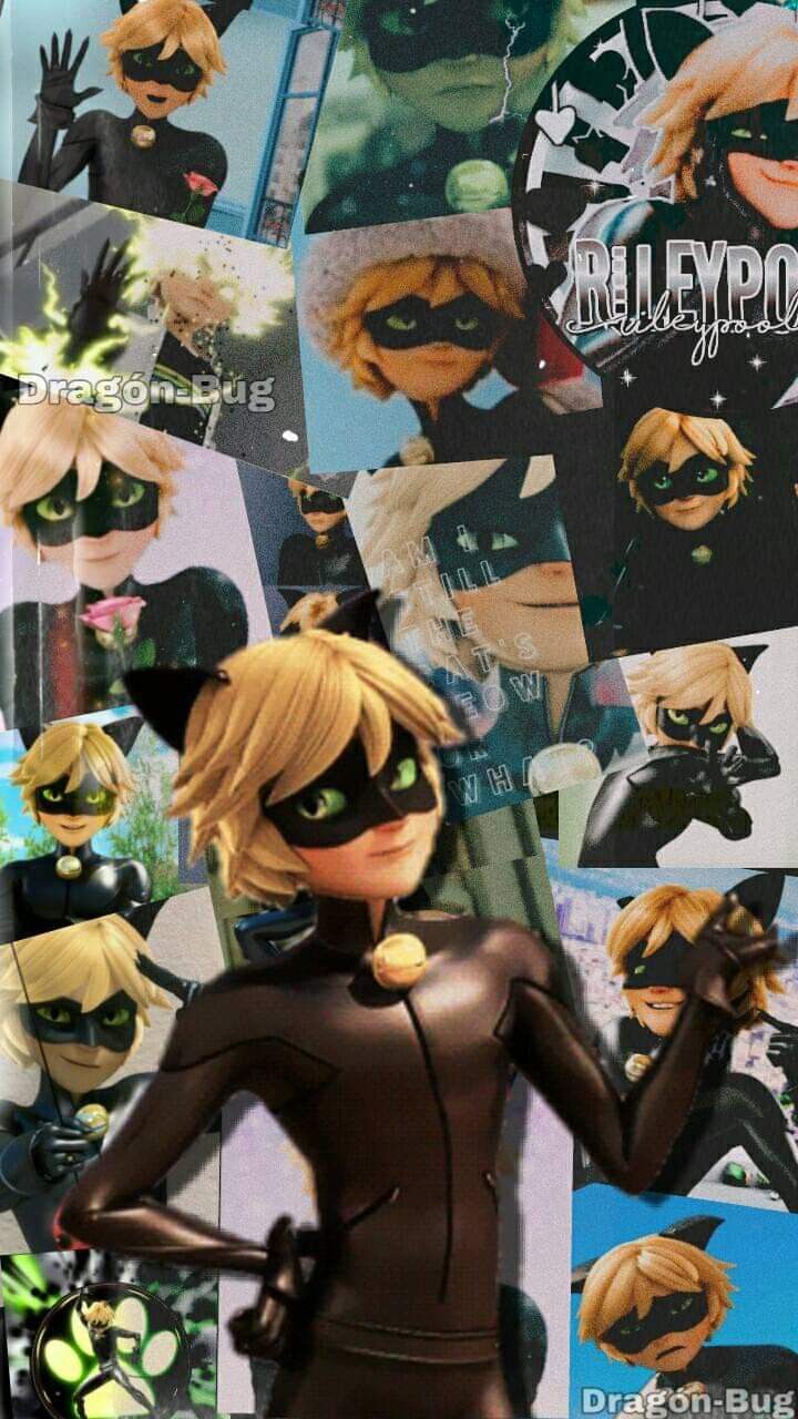 Cat Noir Aesthetic Wallpapers