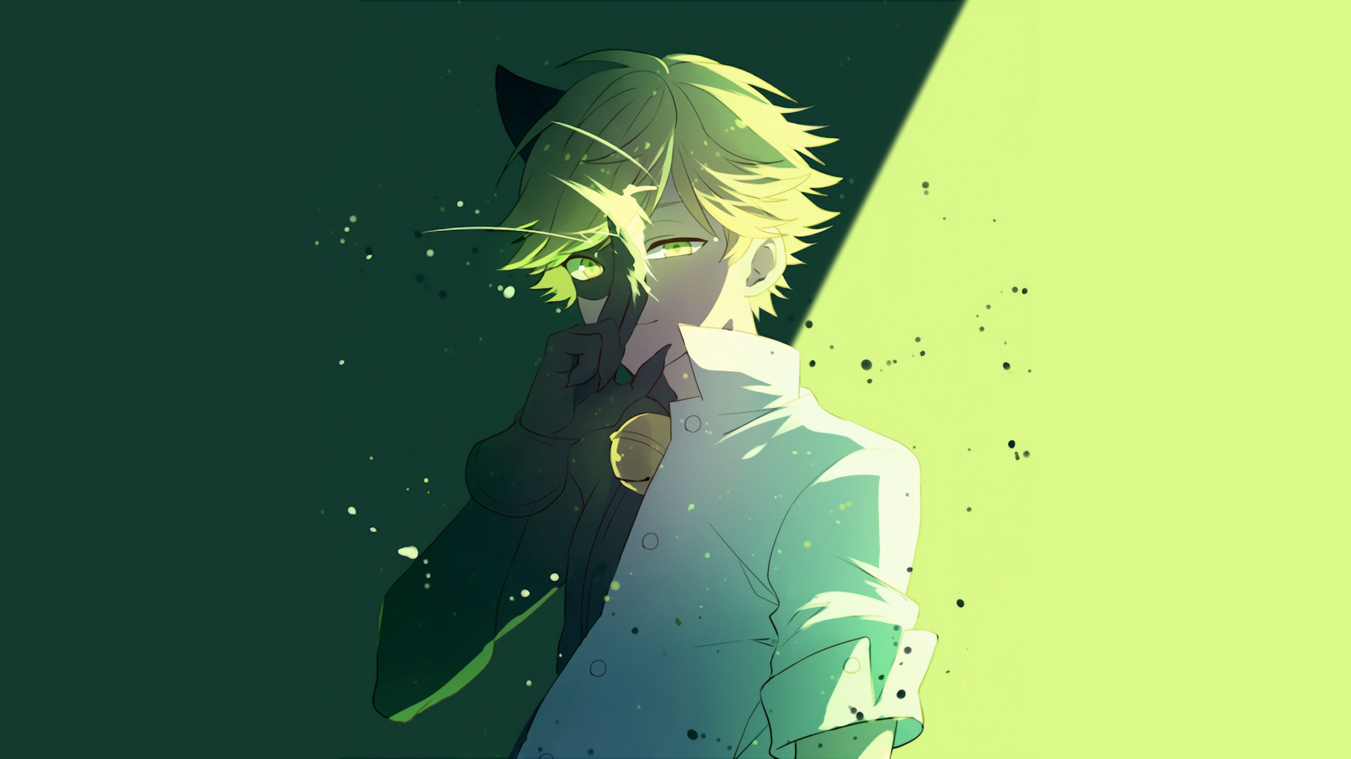 Cat Noir Aesthetic Wallpapers