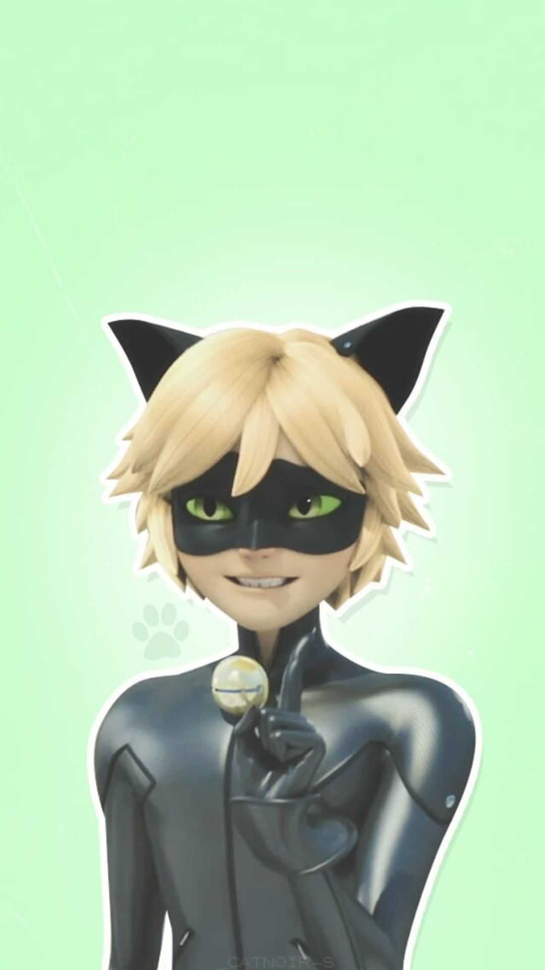 Cat Noir Aesthetic Wallpapers