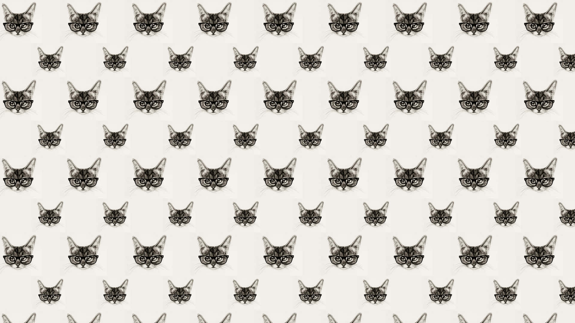 Cat Pattern Wallpapers