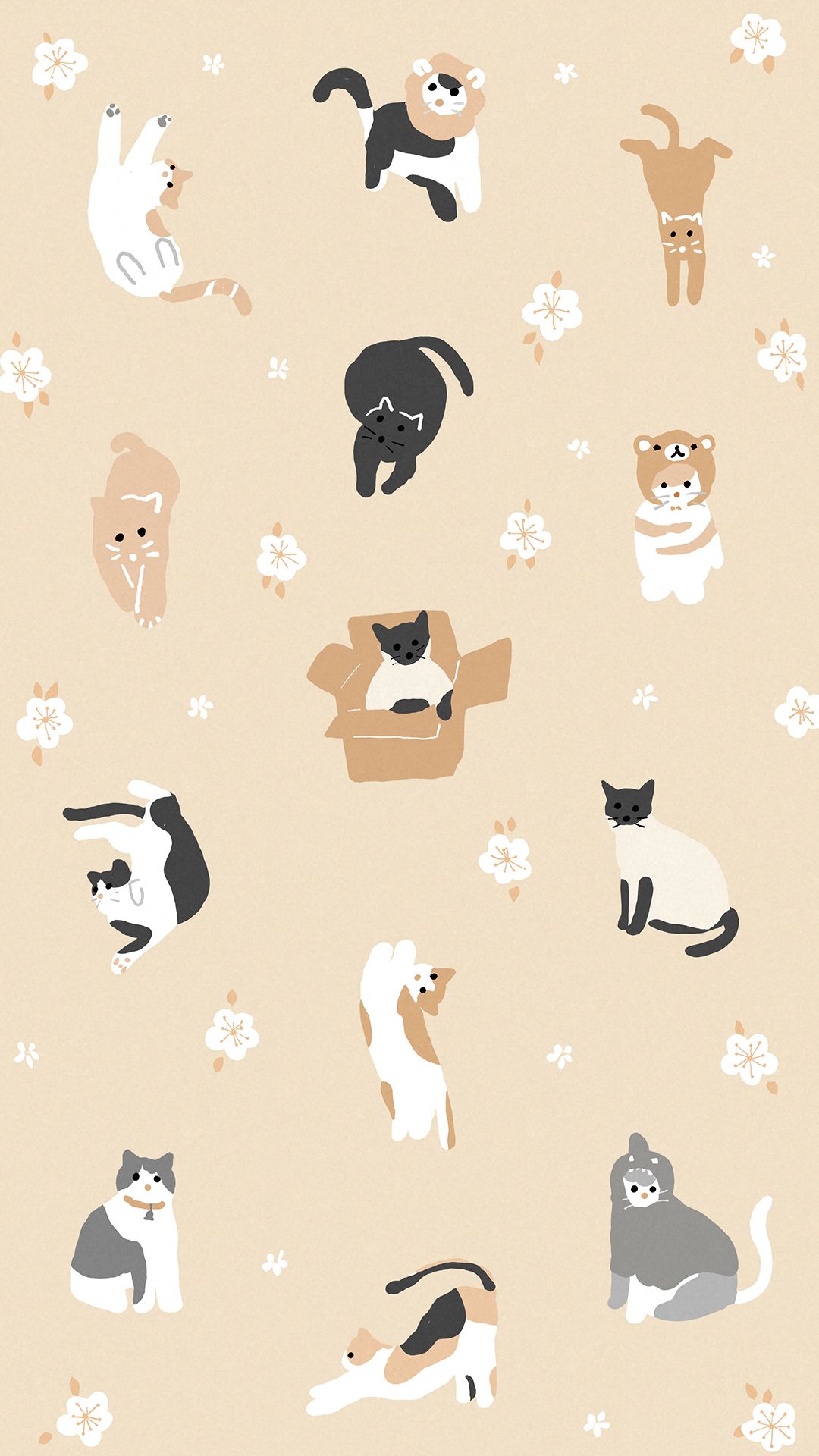 Cat Phone Background