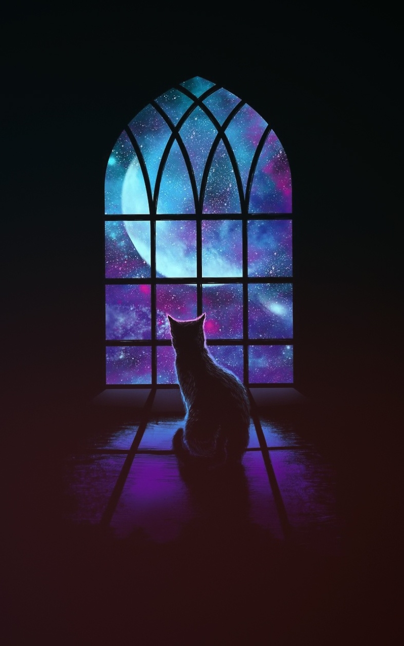 Cat Phone Wallpapers