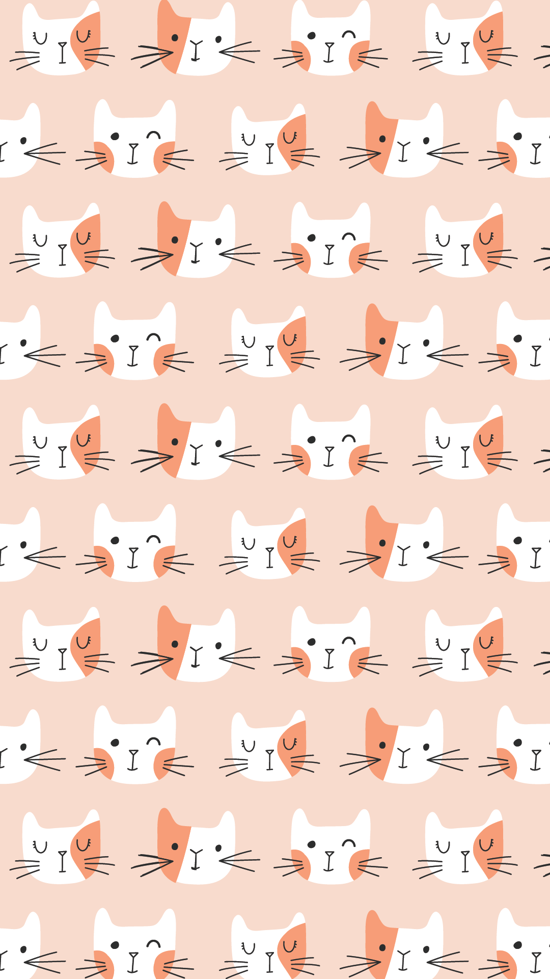 Cat Phone Wallpapers