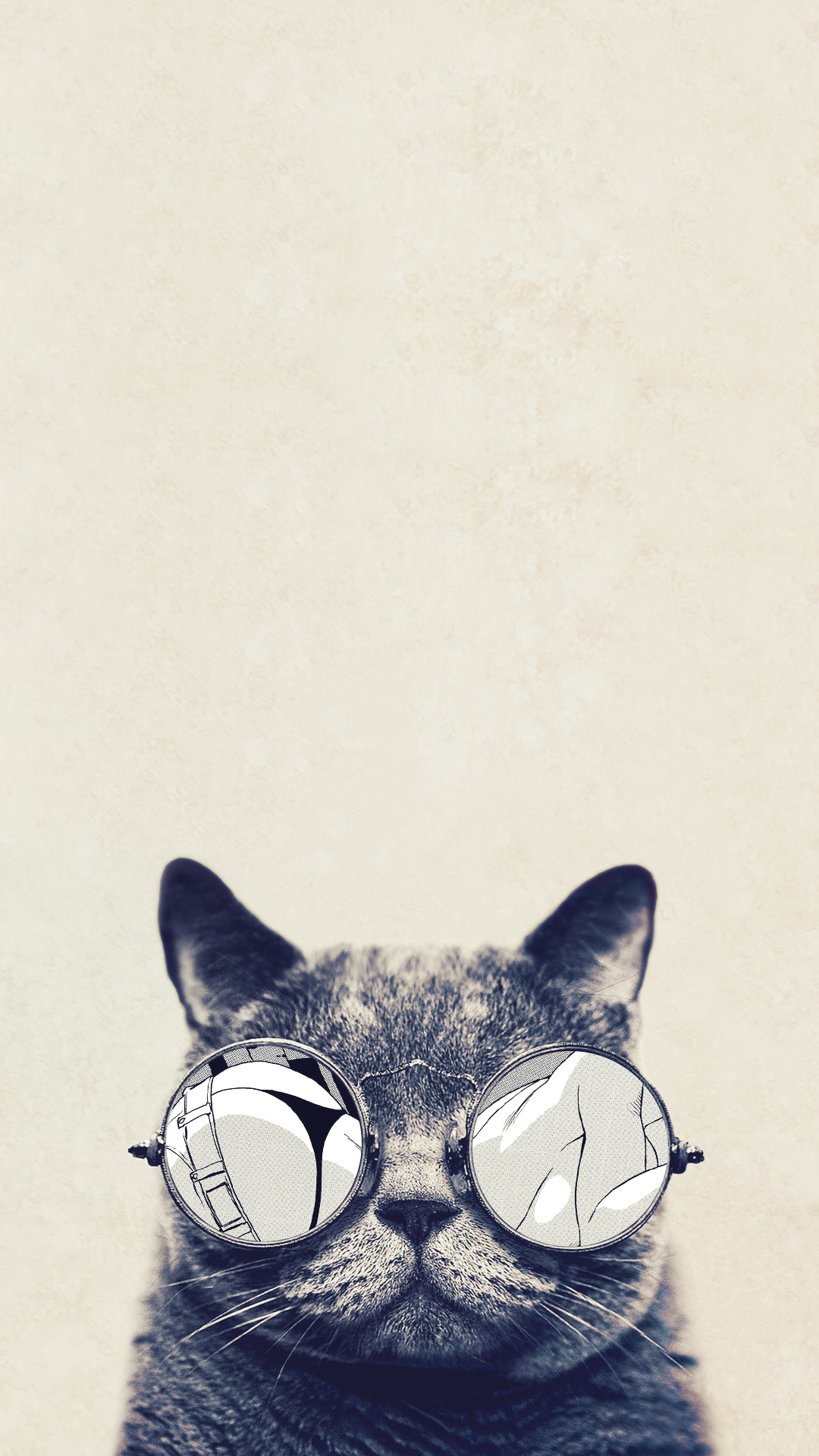 Cat Phone Wallpapers