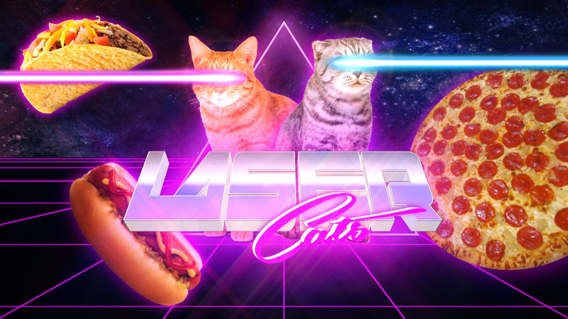 Cat Pizza Wallpapers