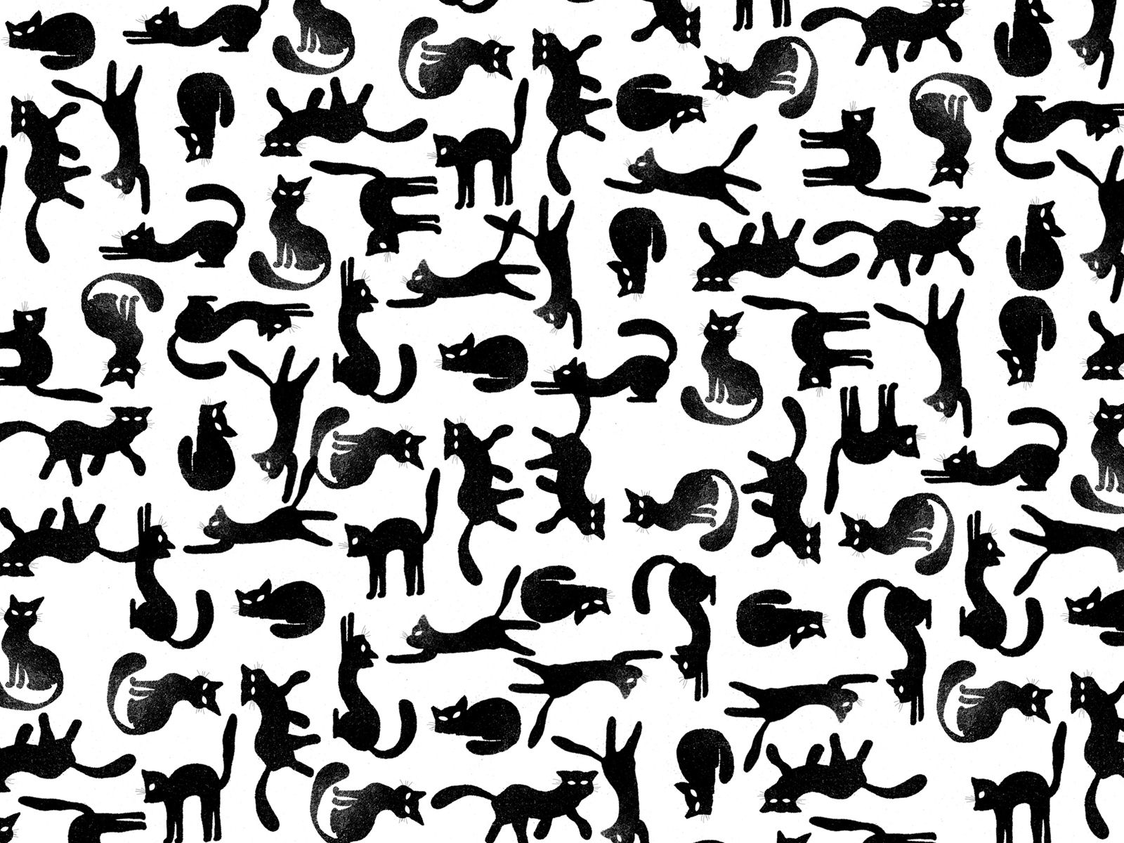 Cat Print Wallpapers