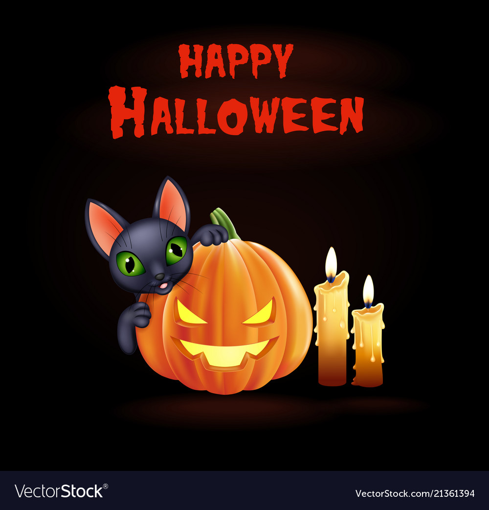 Cat Pumpkin Wallpapers