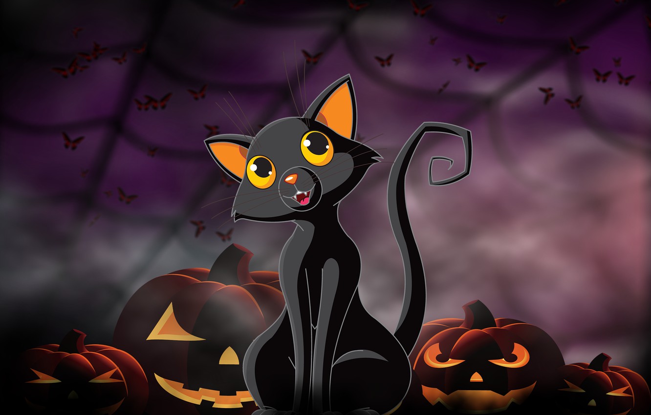 Cat Pumpkin Wallpapers