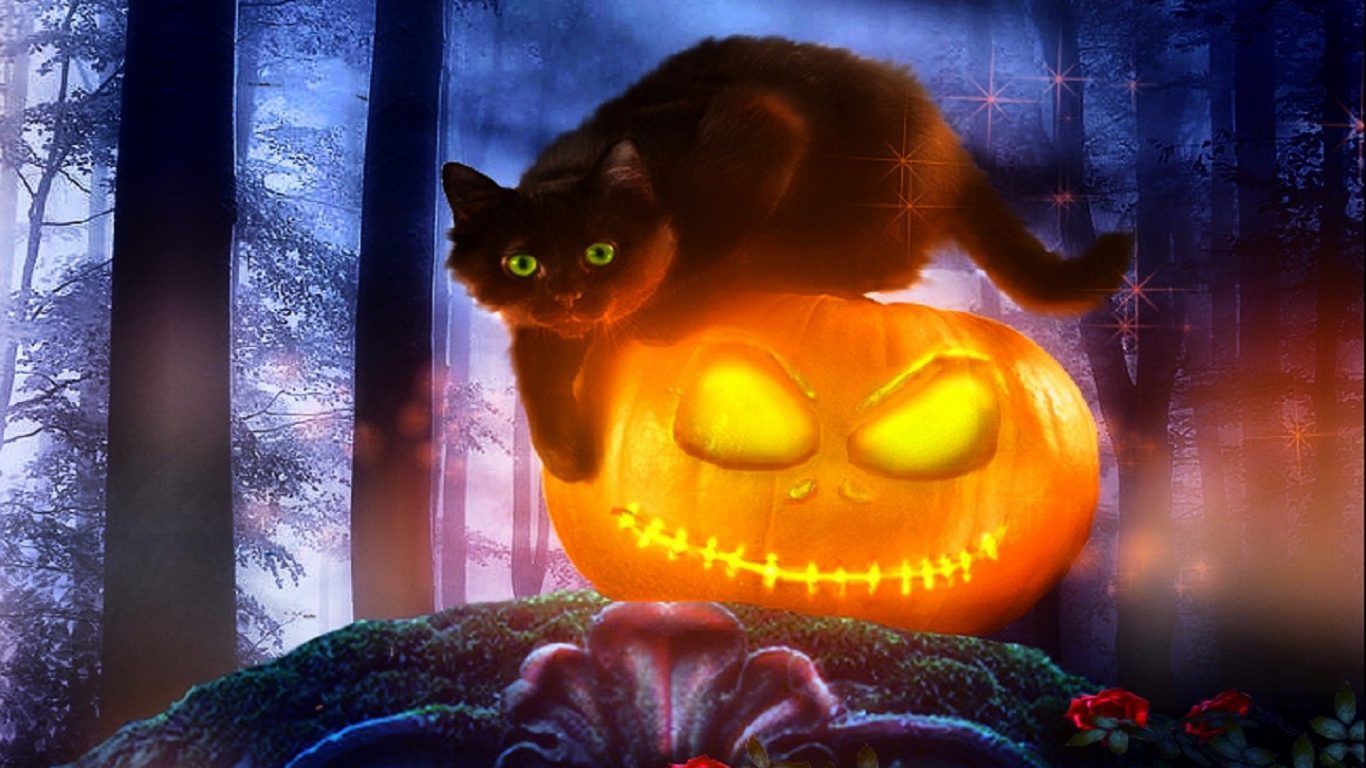 Cat Pumpkin Wallpapers