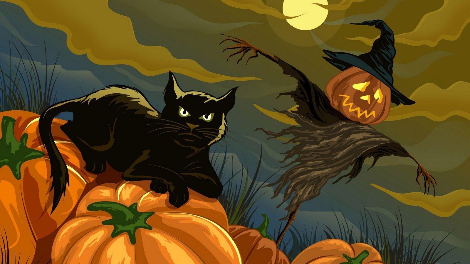 Cat Pumpkin Wallpapers