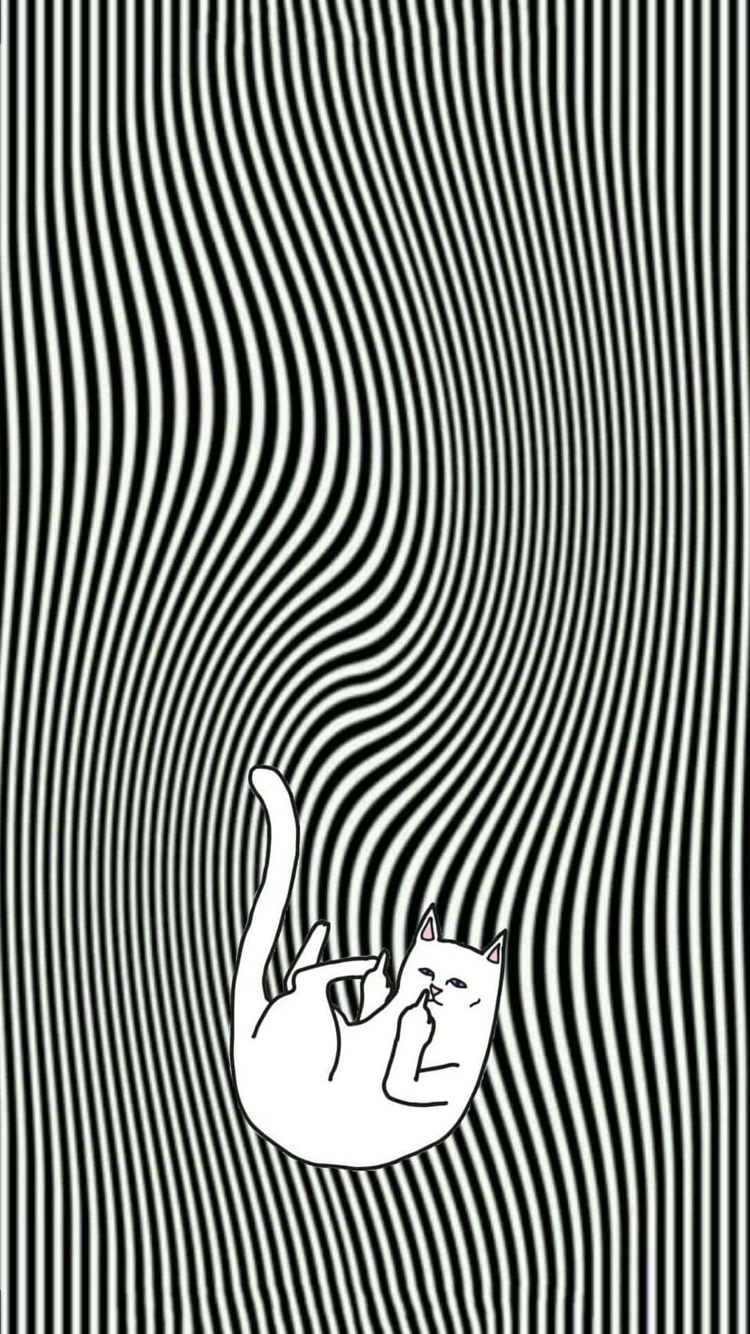 Cat Showing Middle Finger Wallpapers