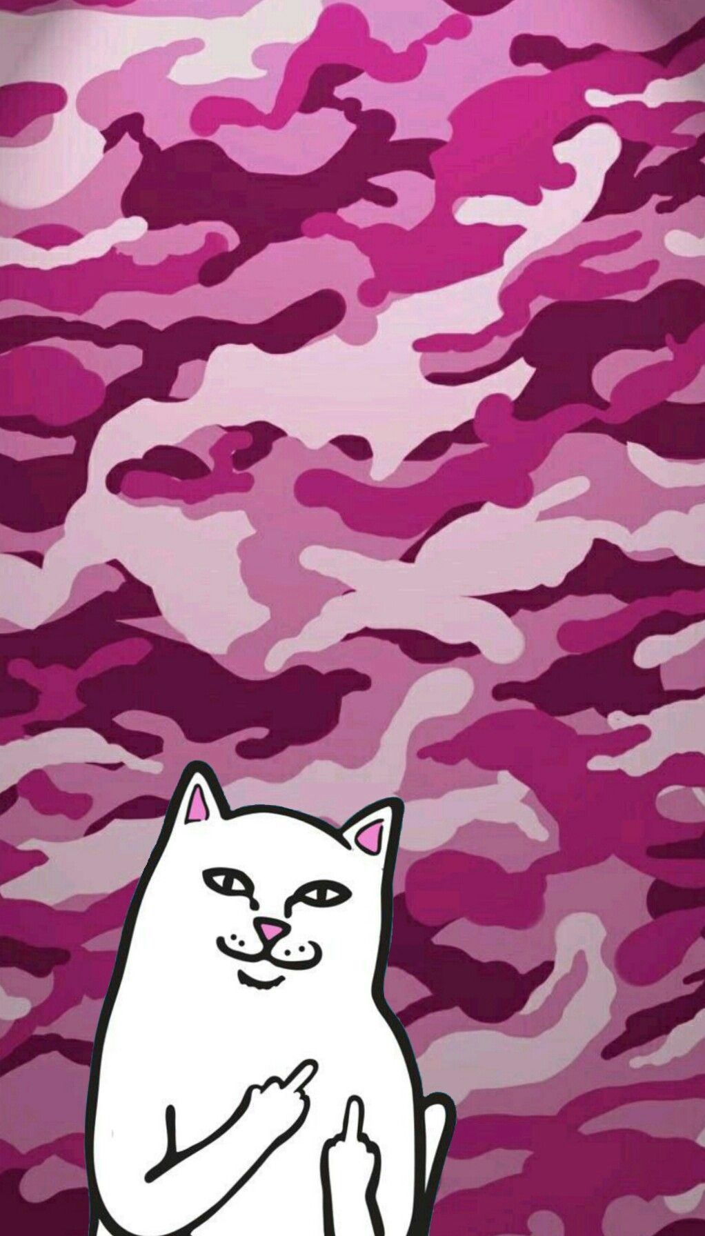 Cat Showing Middle Finger Wallpapers