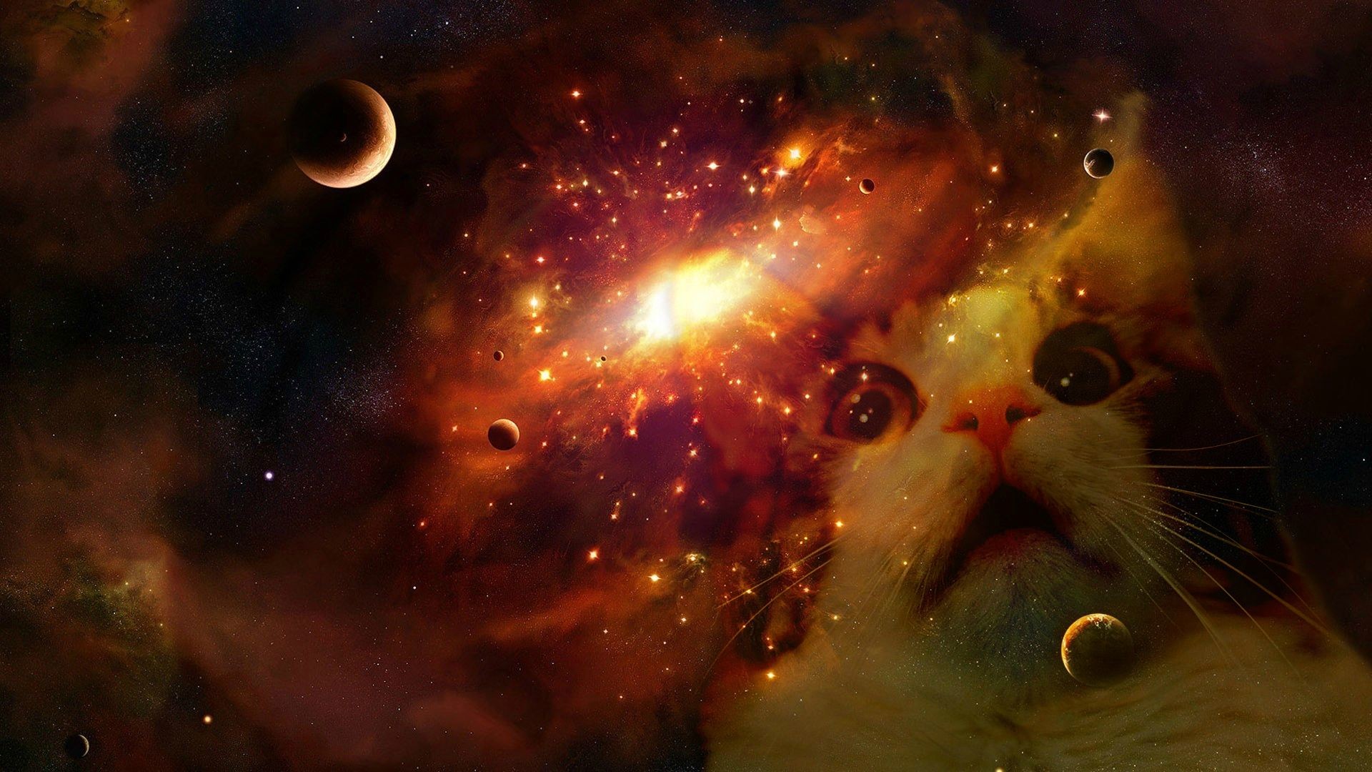 Cat Universe Wallpapers