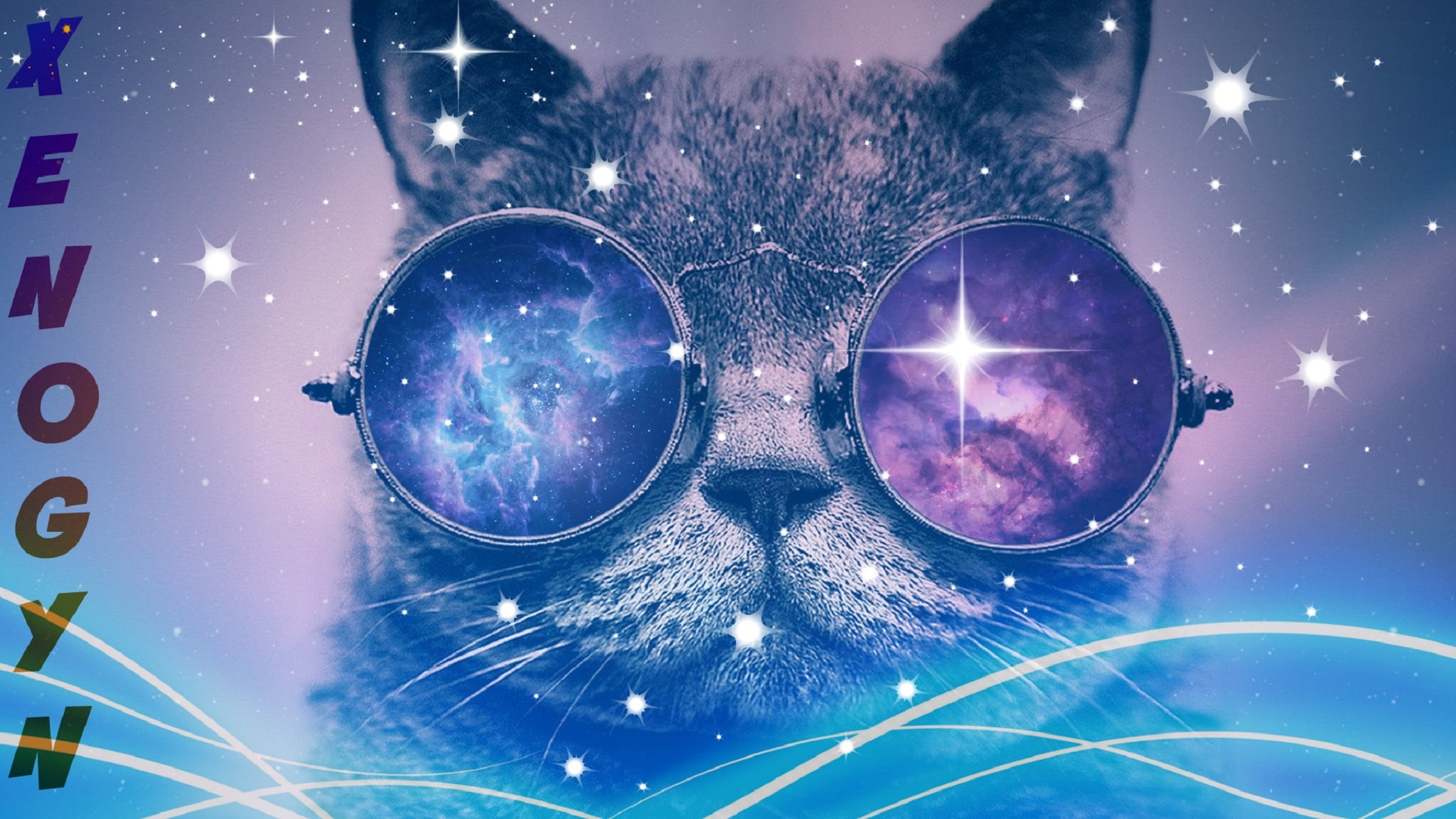 Cat With Glasses Hd Wallpapers