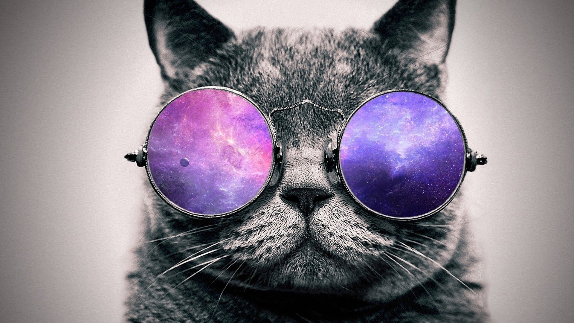 Cat With Glasses Wallpapers