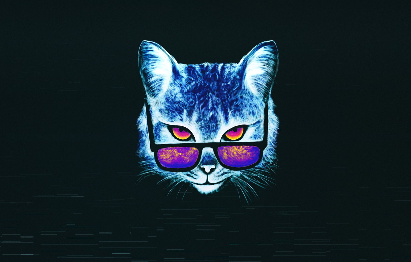 Cat With Glasses Wallpapers