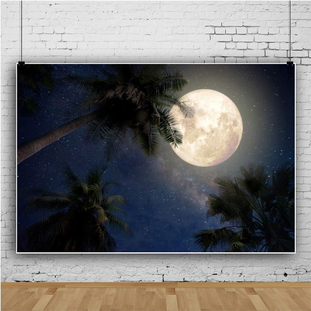 Catching The Moon In Ocean Wallpapers