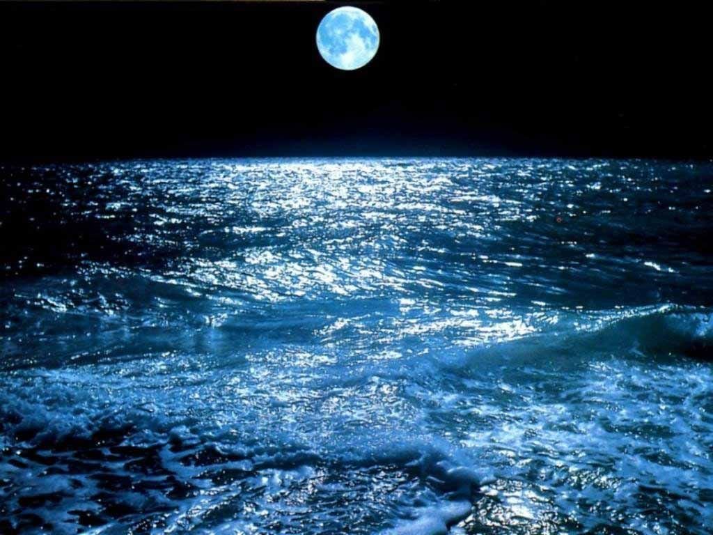 Catching The Moon In Ocean Wallpapers