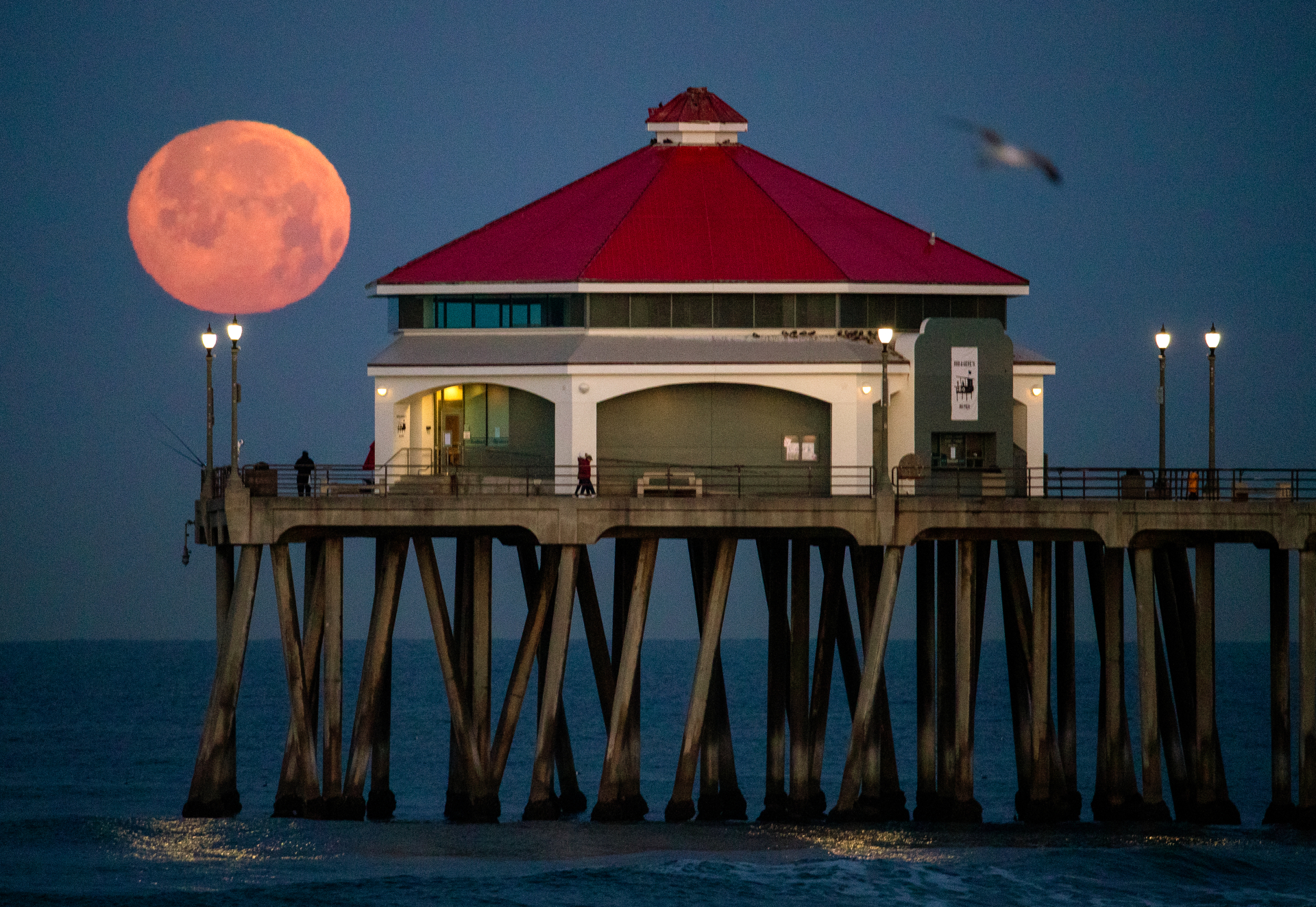 Catching The Moon In Ocean Wallpapers