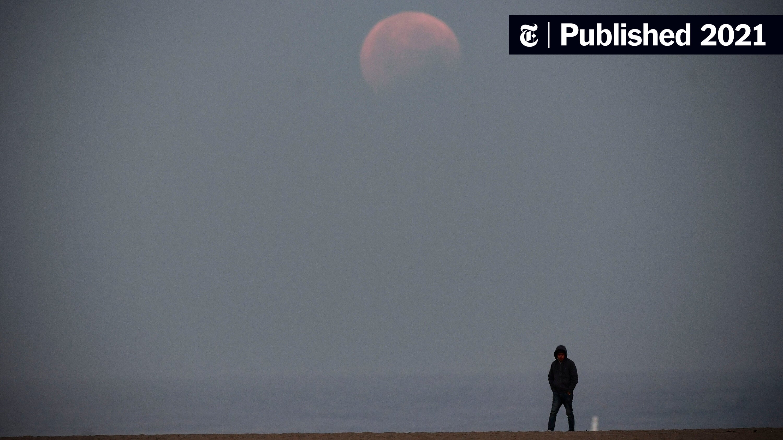 Catching The Moon In Ocean Wallpapers