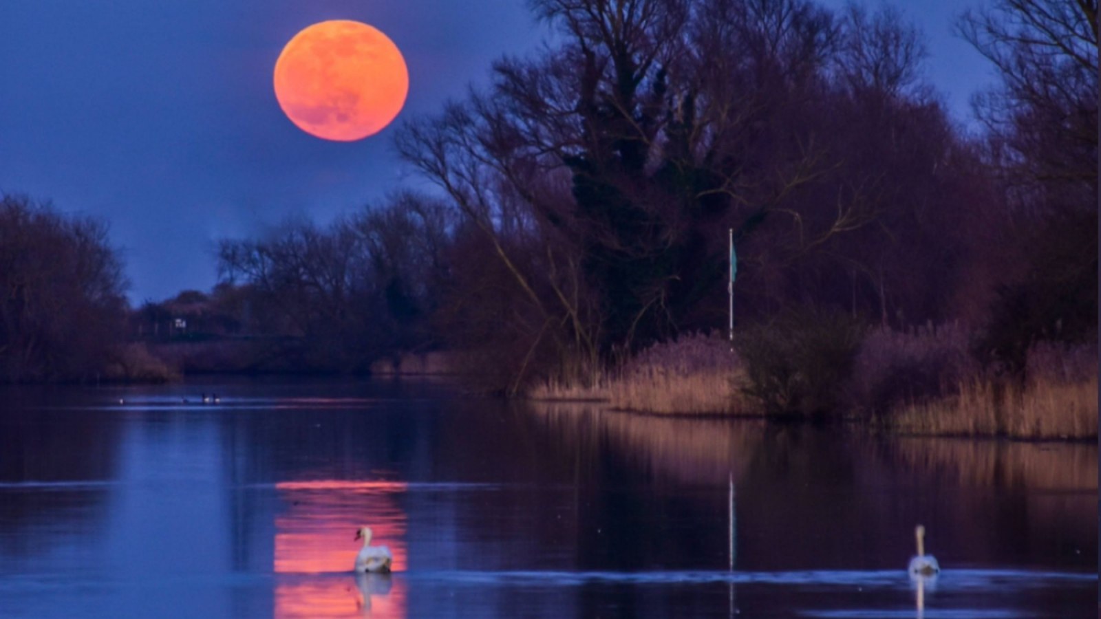 Catching The Moon In Ocean Wallpapers