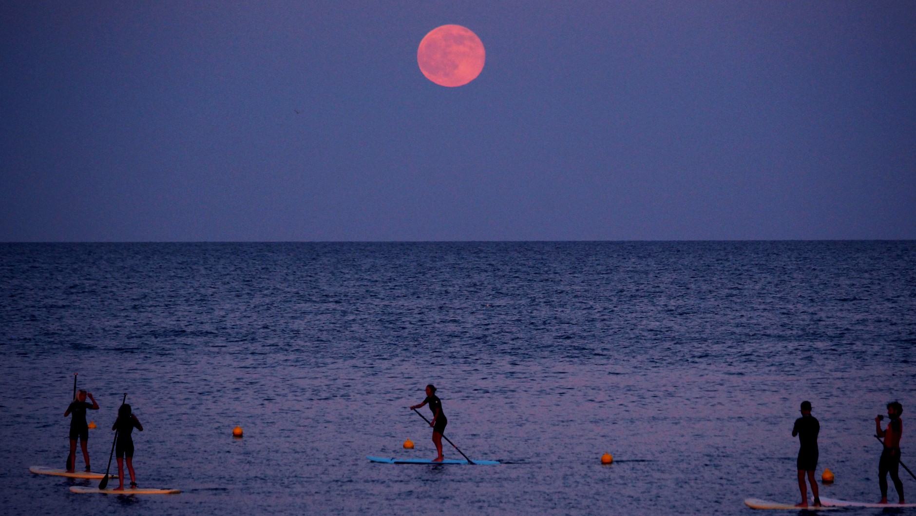 Catching The Moon In Ocean Wallpapers