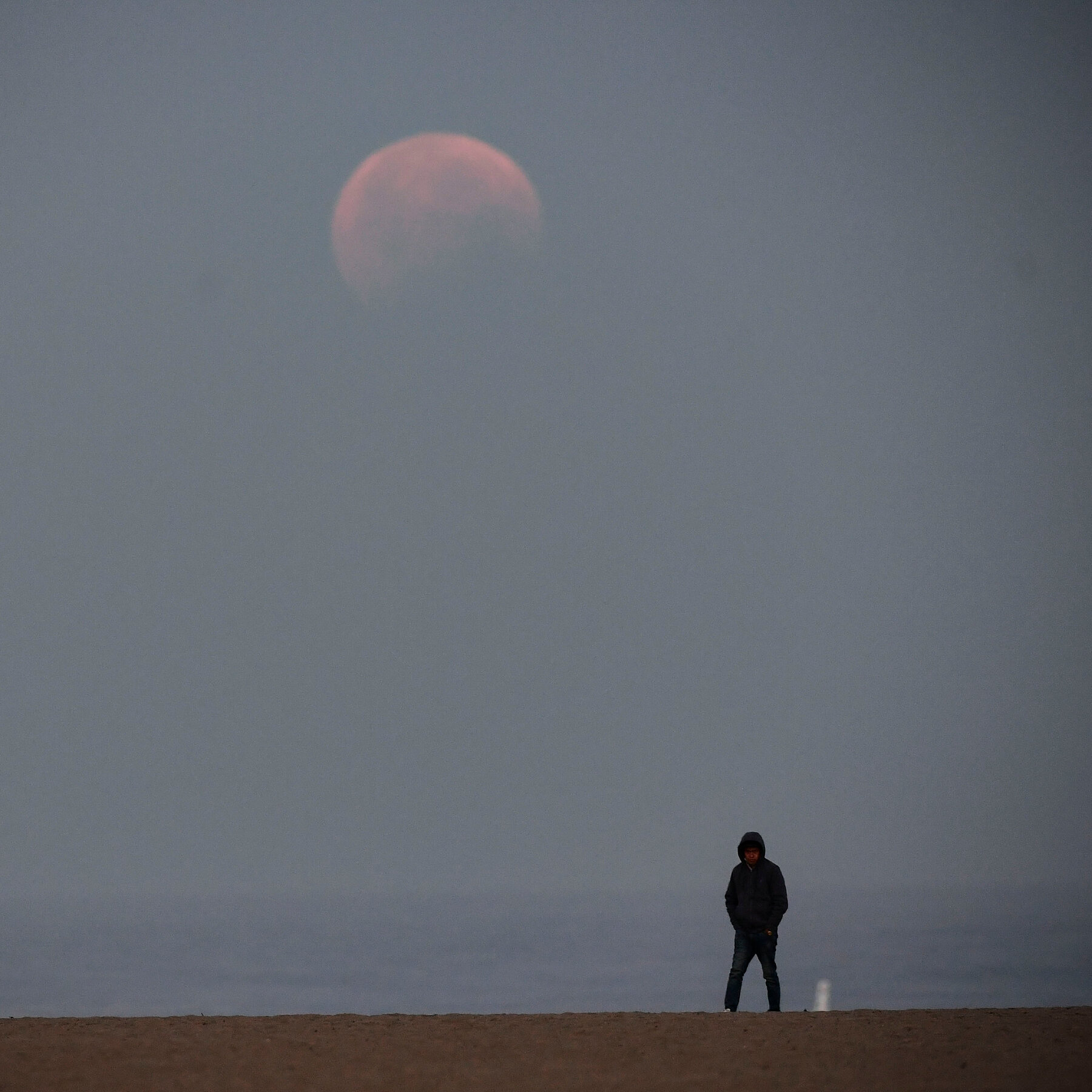 Catching The Moon In Ocean Wallpapers