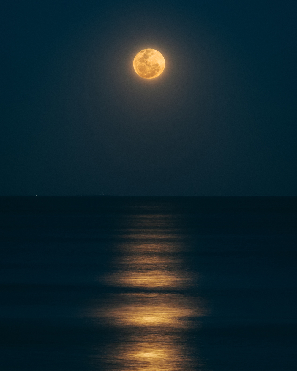 Catching The Moon In Ocean Wallpapers