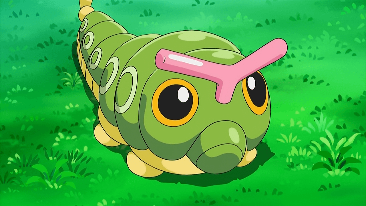 Caterpie Hd Wallpapers