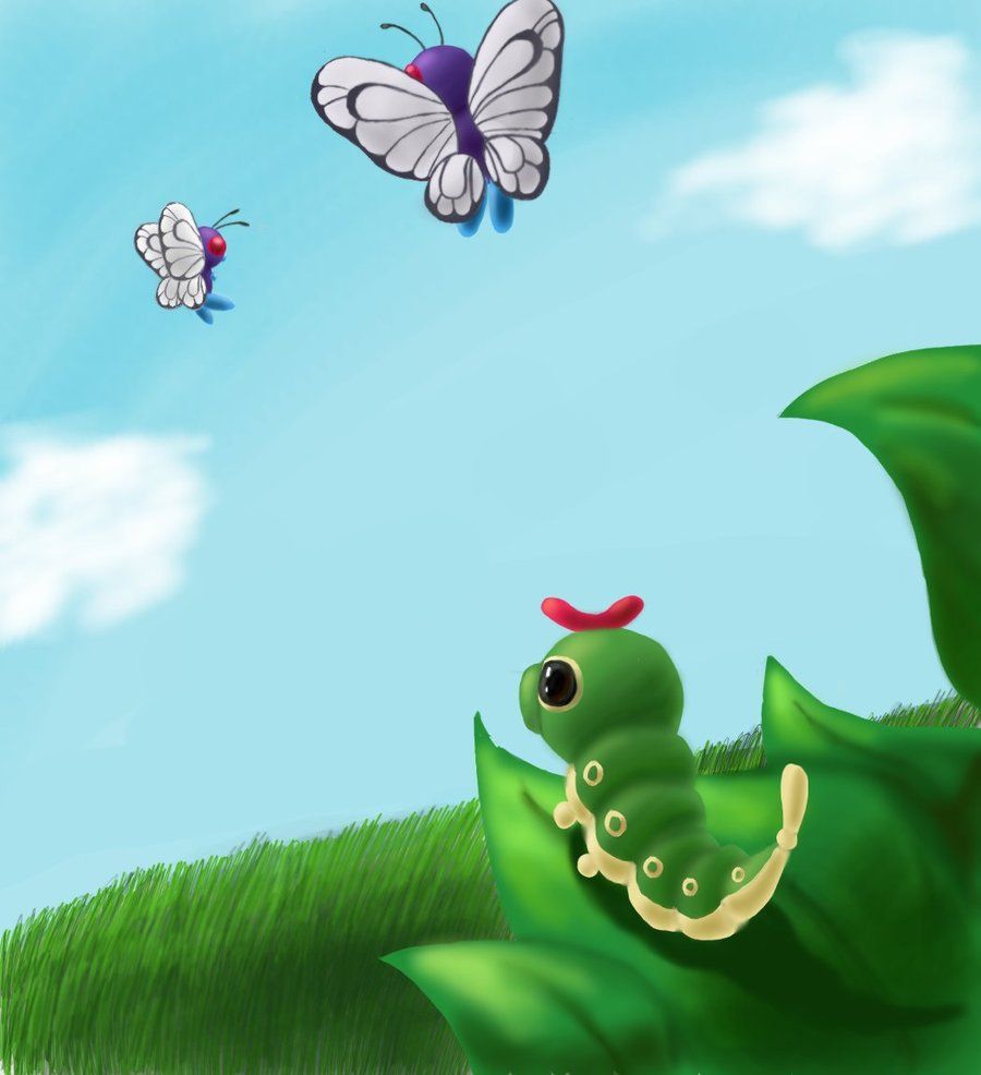 Caterpie Hd Wallpapers